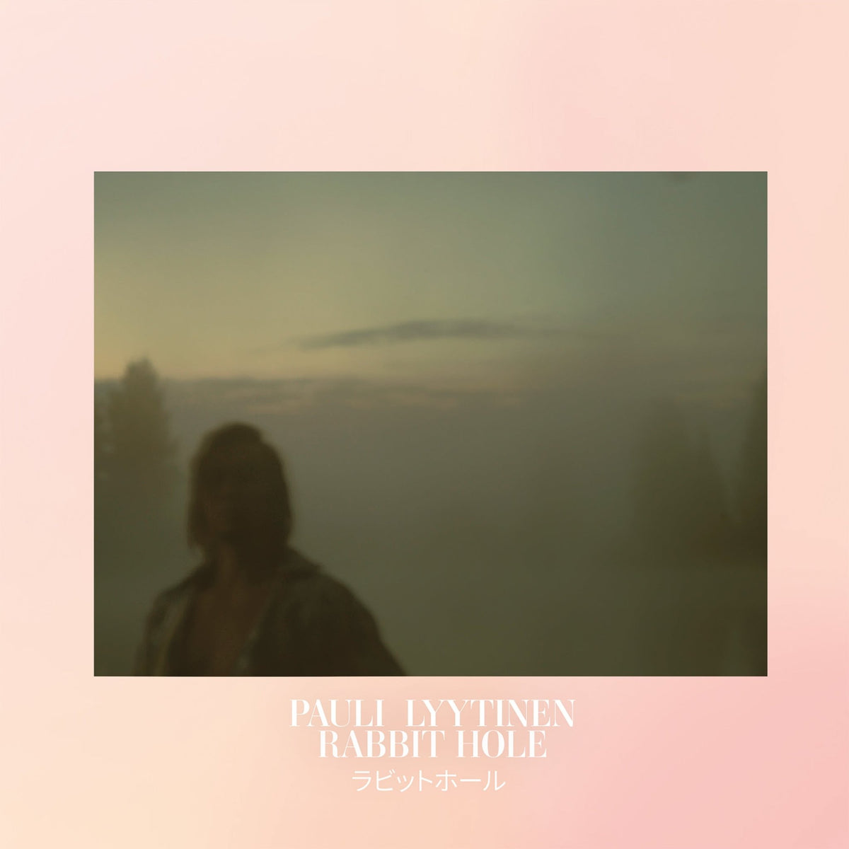 Pauli Lyytinen Rabbit Hole - Rabbit Hole (CD)