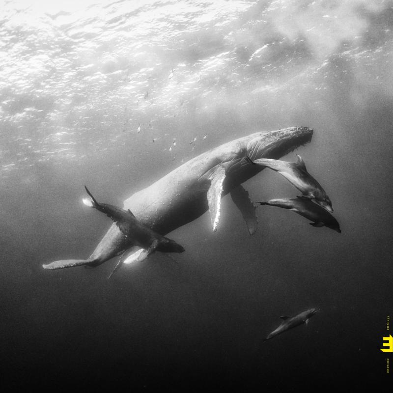 Kevin Hays & Lionel Loueke - Hope (CD)