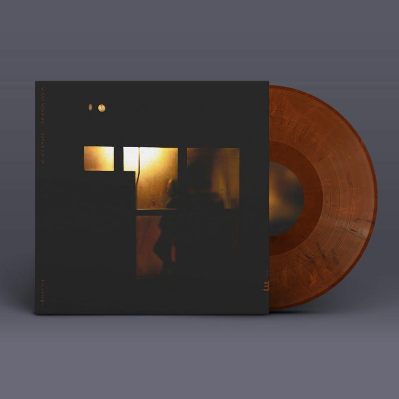 Sachal Vasandani & Romain Collin - Midnight Shelter (LP)