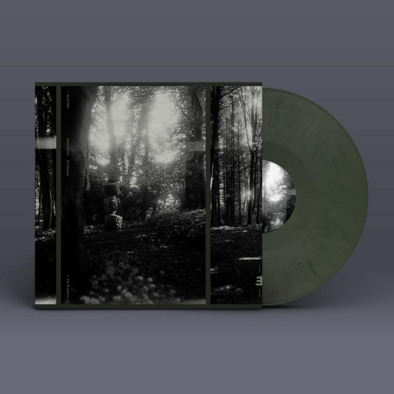 Eyolf Dale - The Wayfarers (LP)