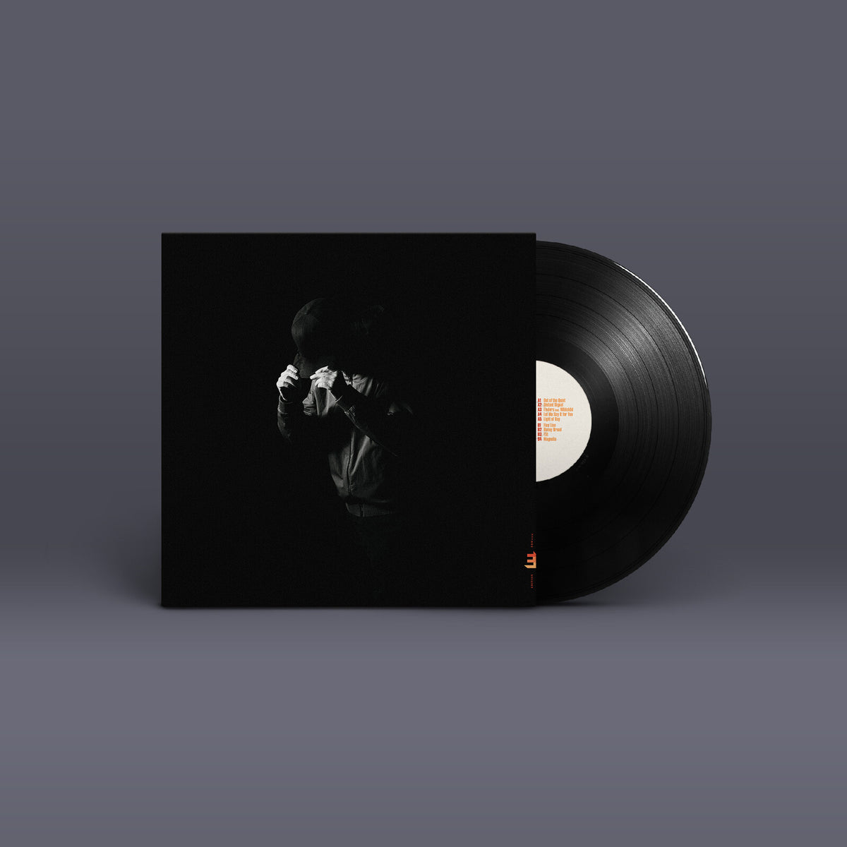 Richard Spaven - Light of Day (LP)