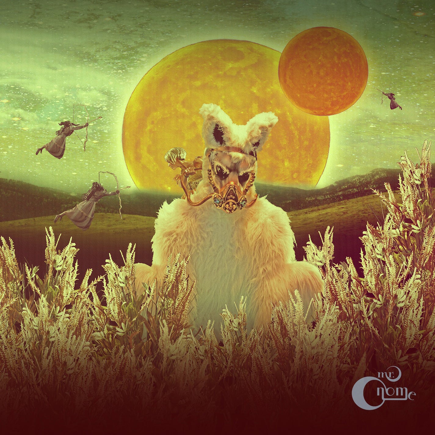 mr. Gnome - Madness in Miniature (CD)