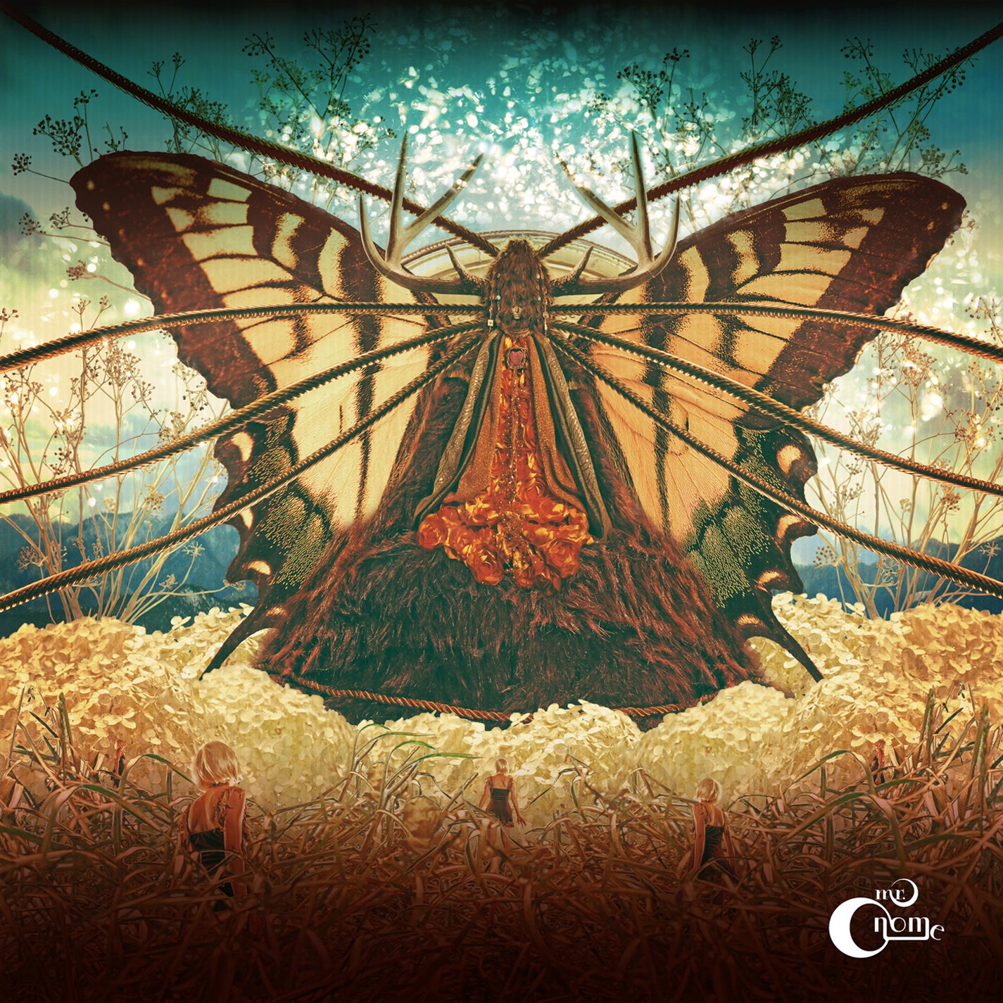 Mr. Gnome - The Heart Of A Dark Star (LP)