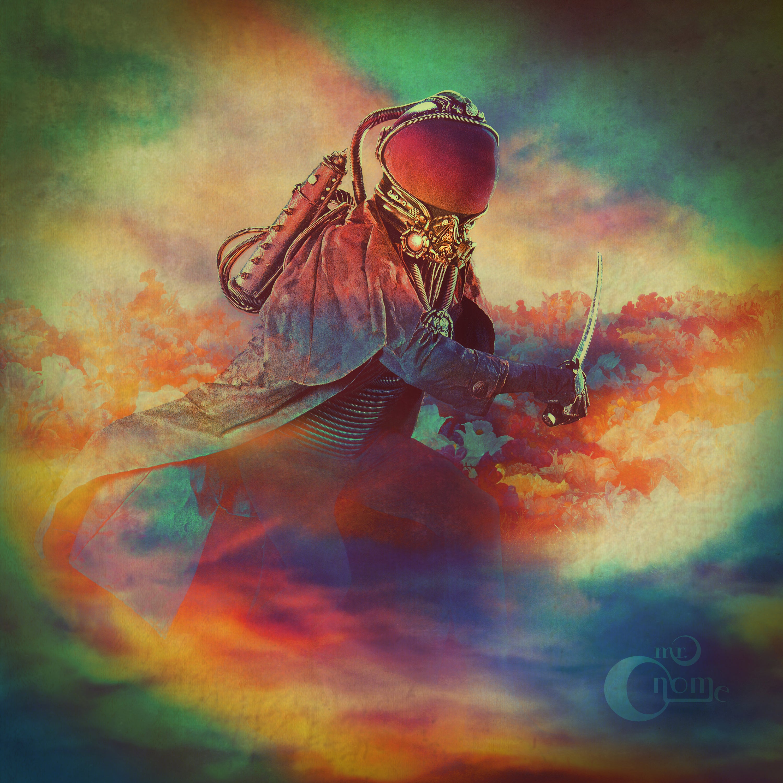 Mr. Gnome - The Day You Flew Away (LP)