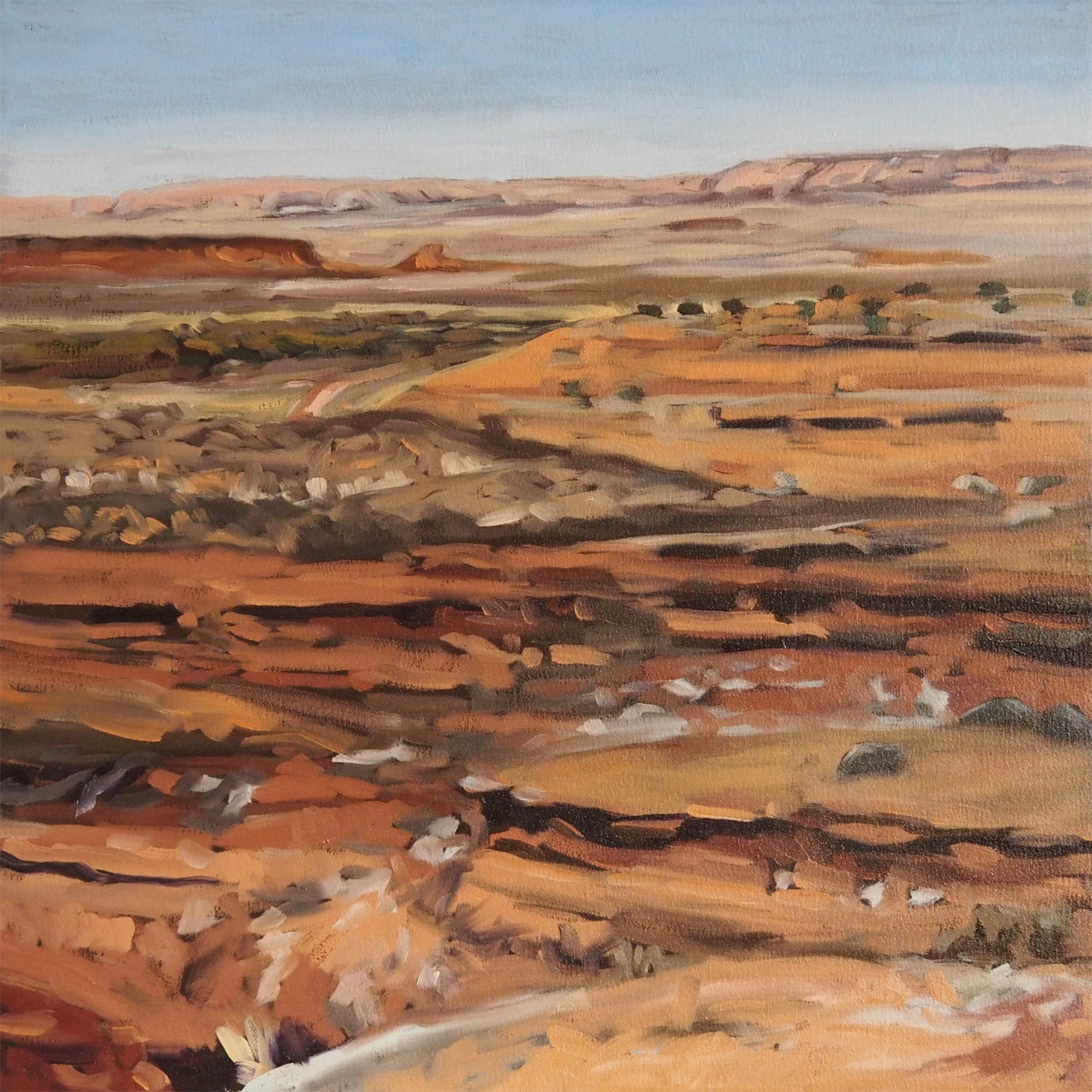 Possum Moods - Northern Times (LP)