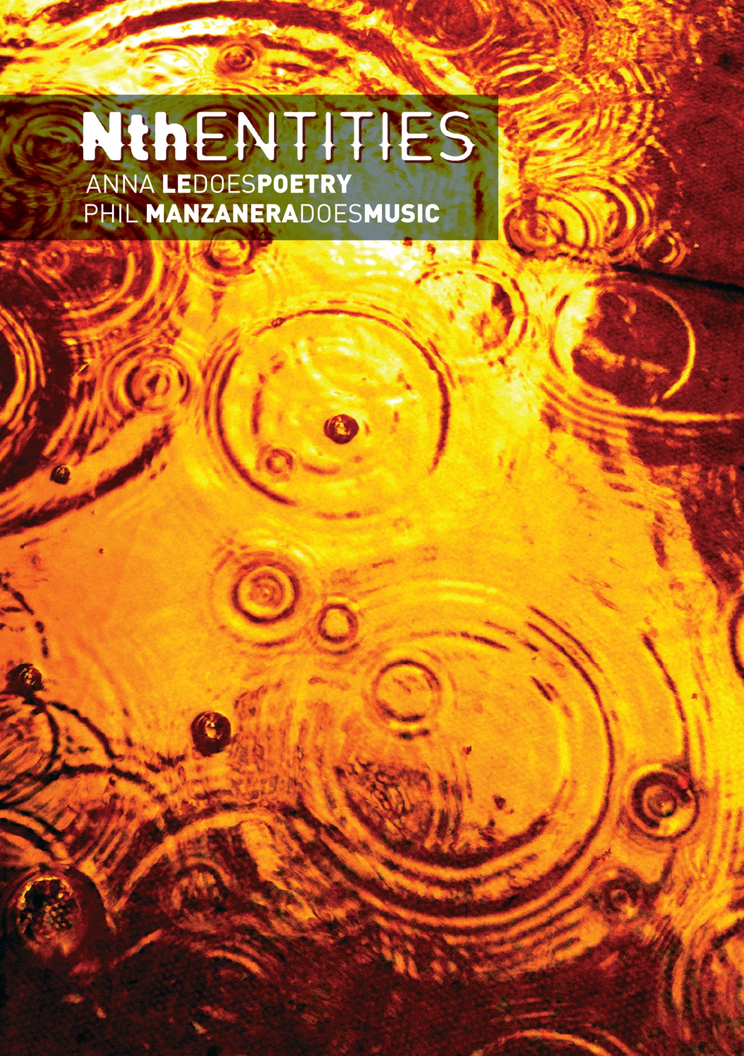 Phil Manzanera & Anna Le - Nth Entities (CD)