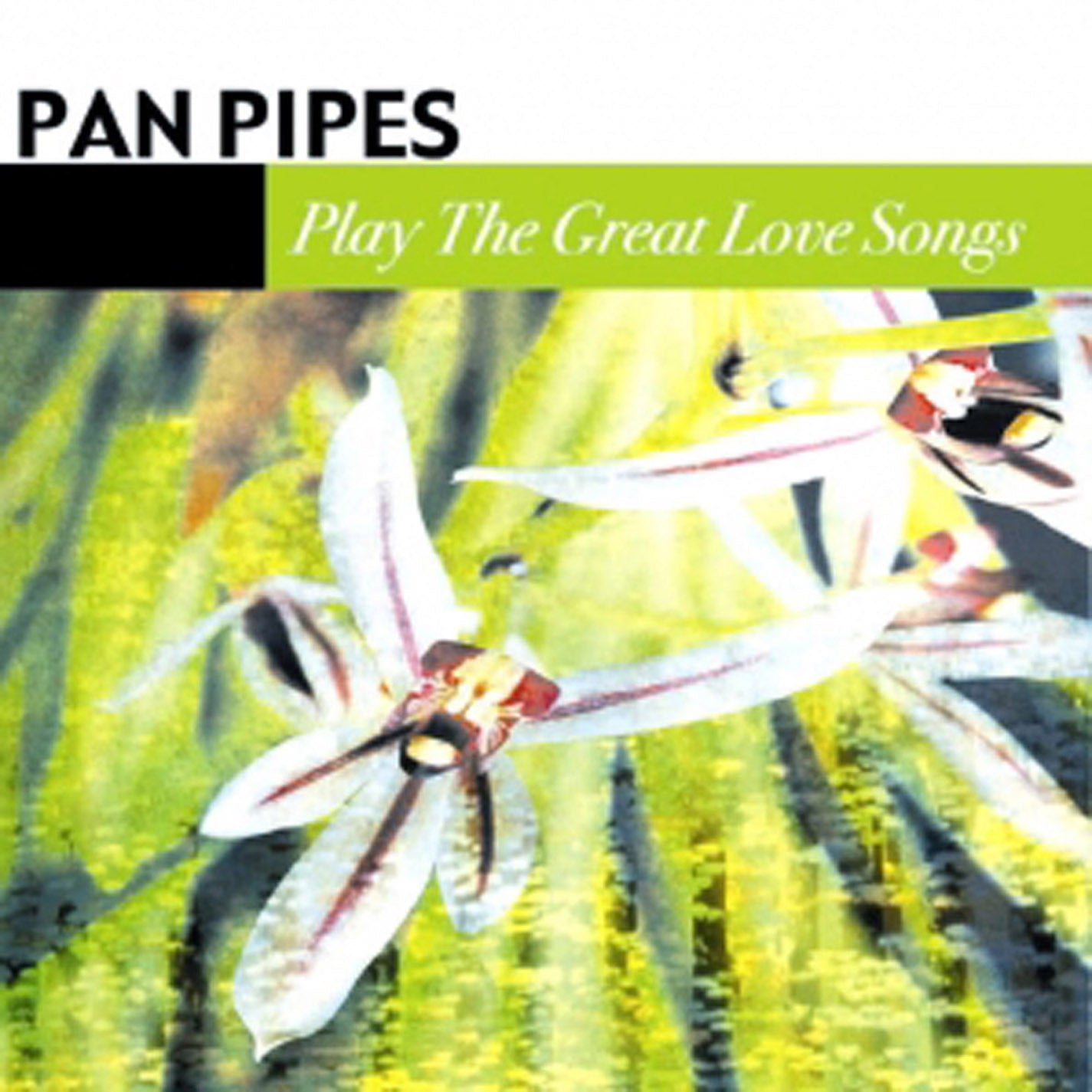 Pan Pipes - Play The Great Love Songs (CD)