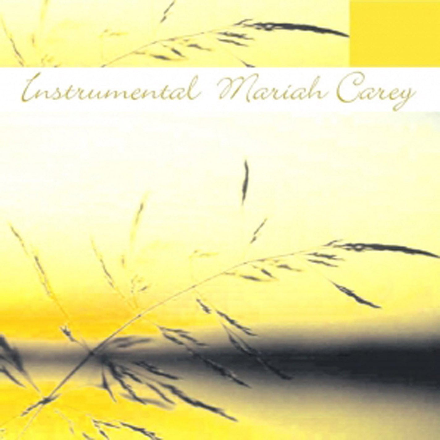 Instrumental Mariah Instrumental Mariah Carey - Instrumental Mariah Carey (CD)