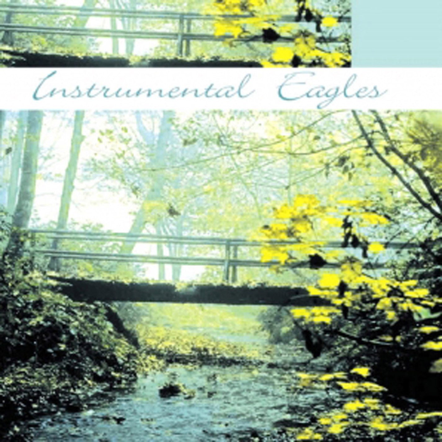 Instrumental The Instrumental Eagles - Instrumental Eagles (CD)