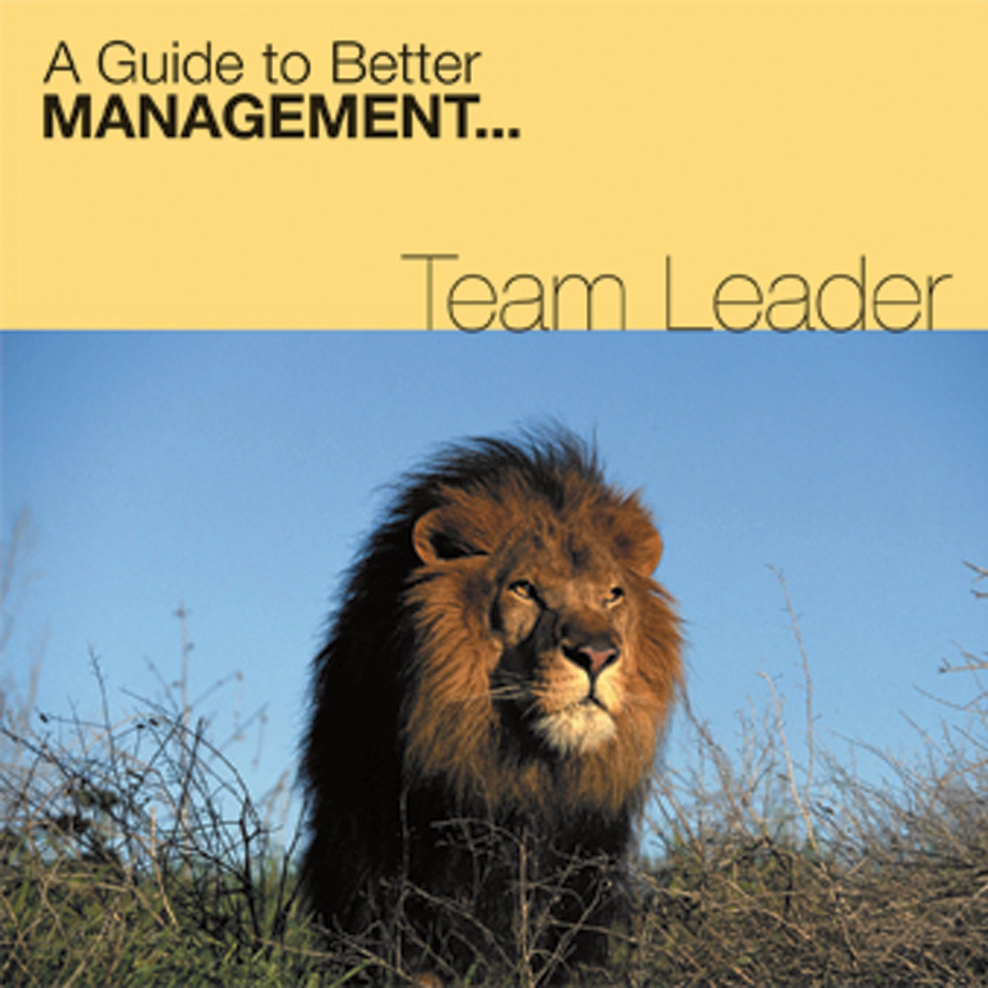 Team Leader (CD)