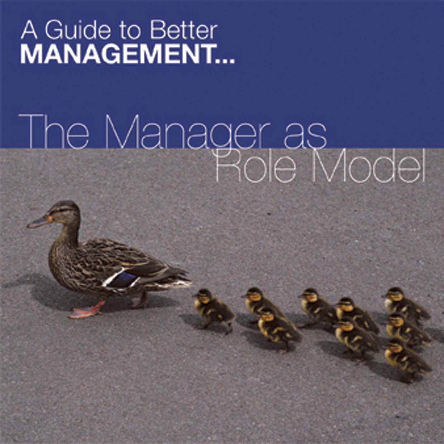 Manager As Role Model (CD)