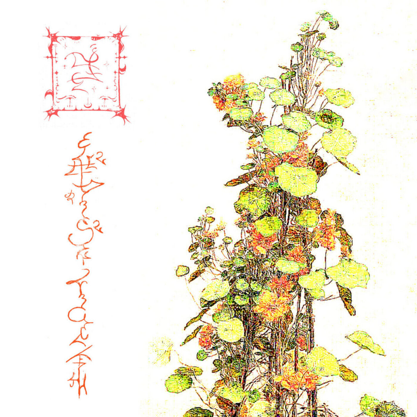 Trhä - Av◊ëlajnt◊ë£ Hinnem Nihre (CD)