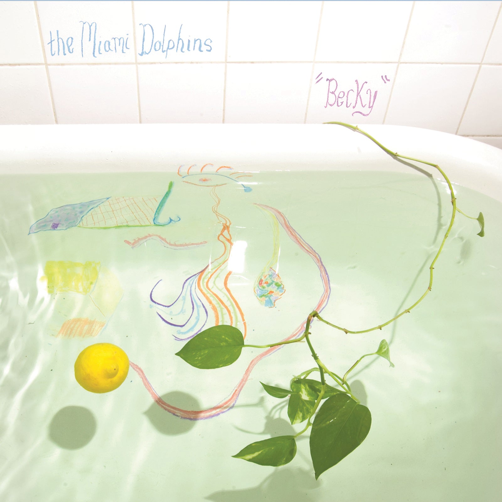 Miami Dolphins - Becky (LP)