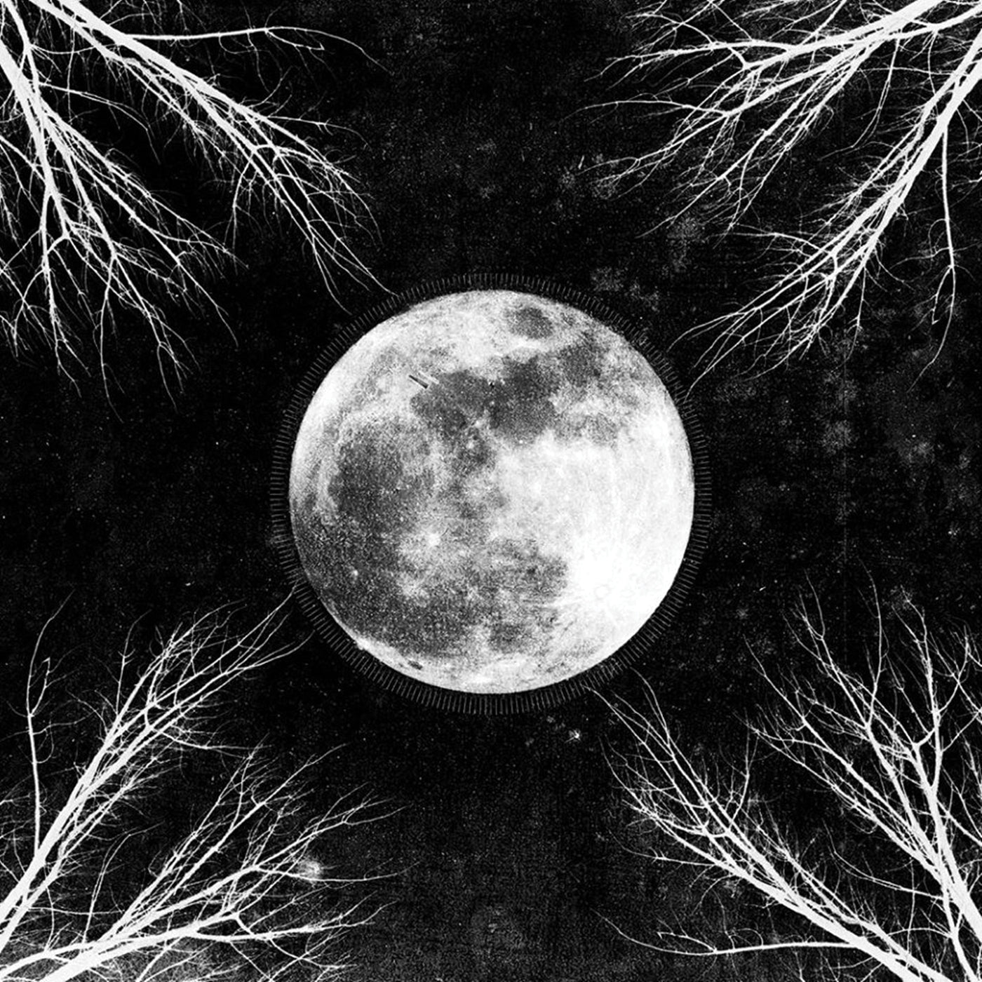 Corpus Christii - Palemoon (CD)