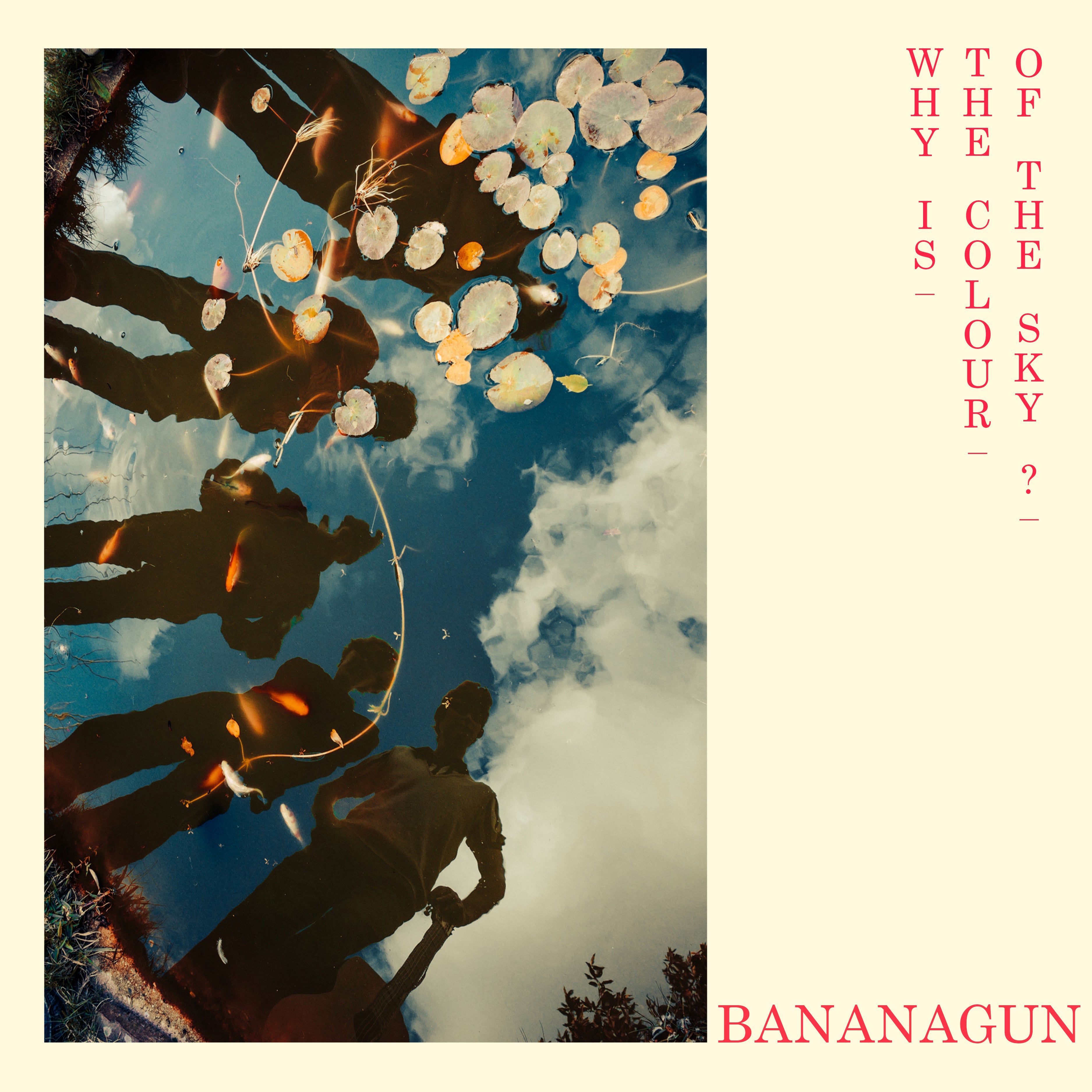 Bananagun - Why Is The Colour Of The Sky? (LP)