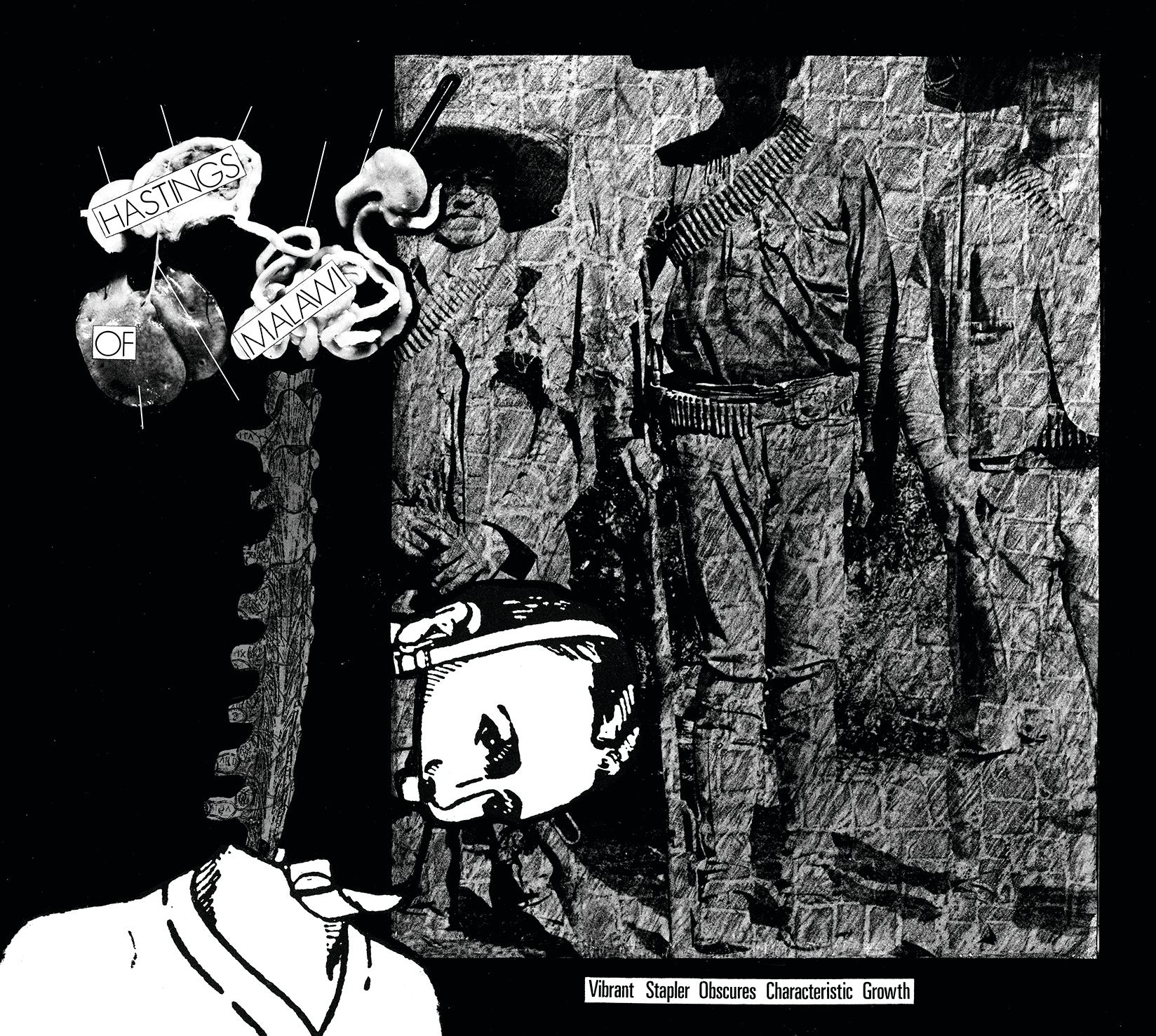 Hastings Of Malawi - Vibrant Stapler Obscures Characteristic Growth (CD)