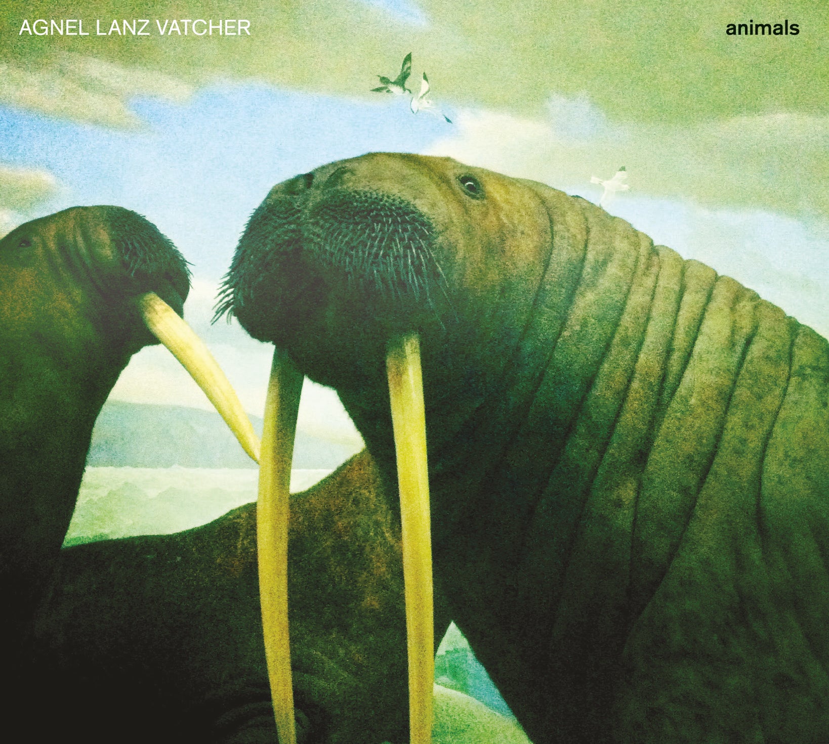 Agnel Lanz Vatcher - Animals (CD)