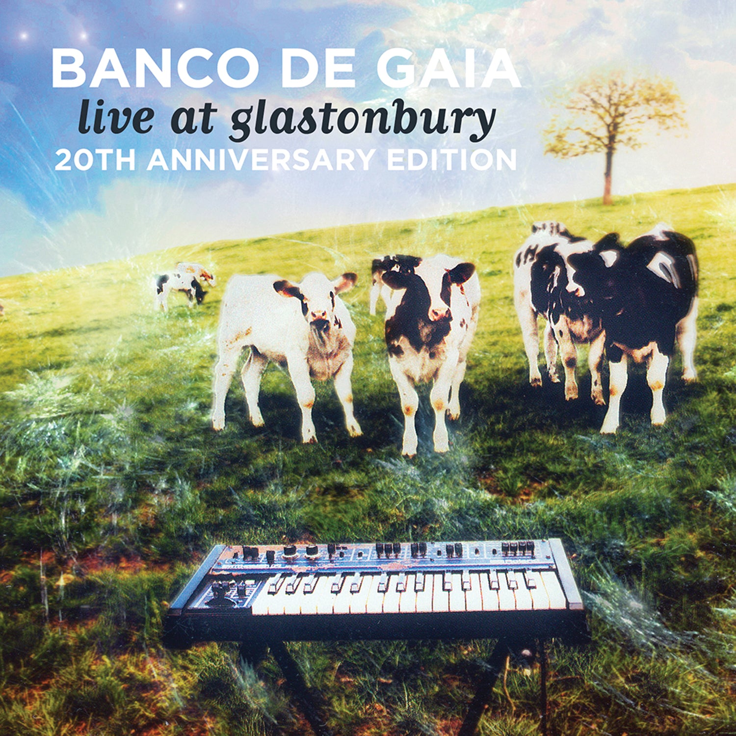 Banco De Gaia - Live At Glastonbury: 20th Anniversary Edition (CD)