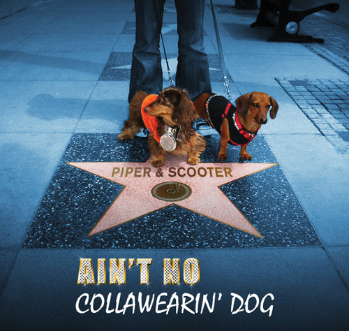 Piper & Scooter - Ain't No Collawearin' Dog (CD)