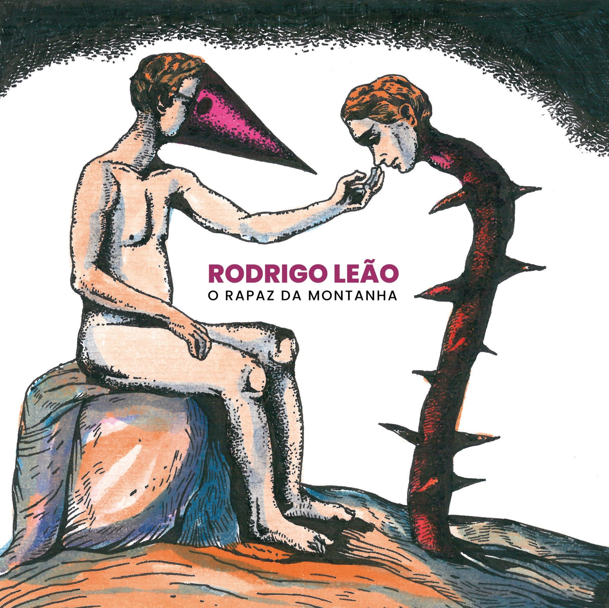 Rodrigo Leão - O Rapaz Da Montanha (LP)
