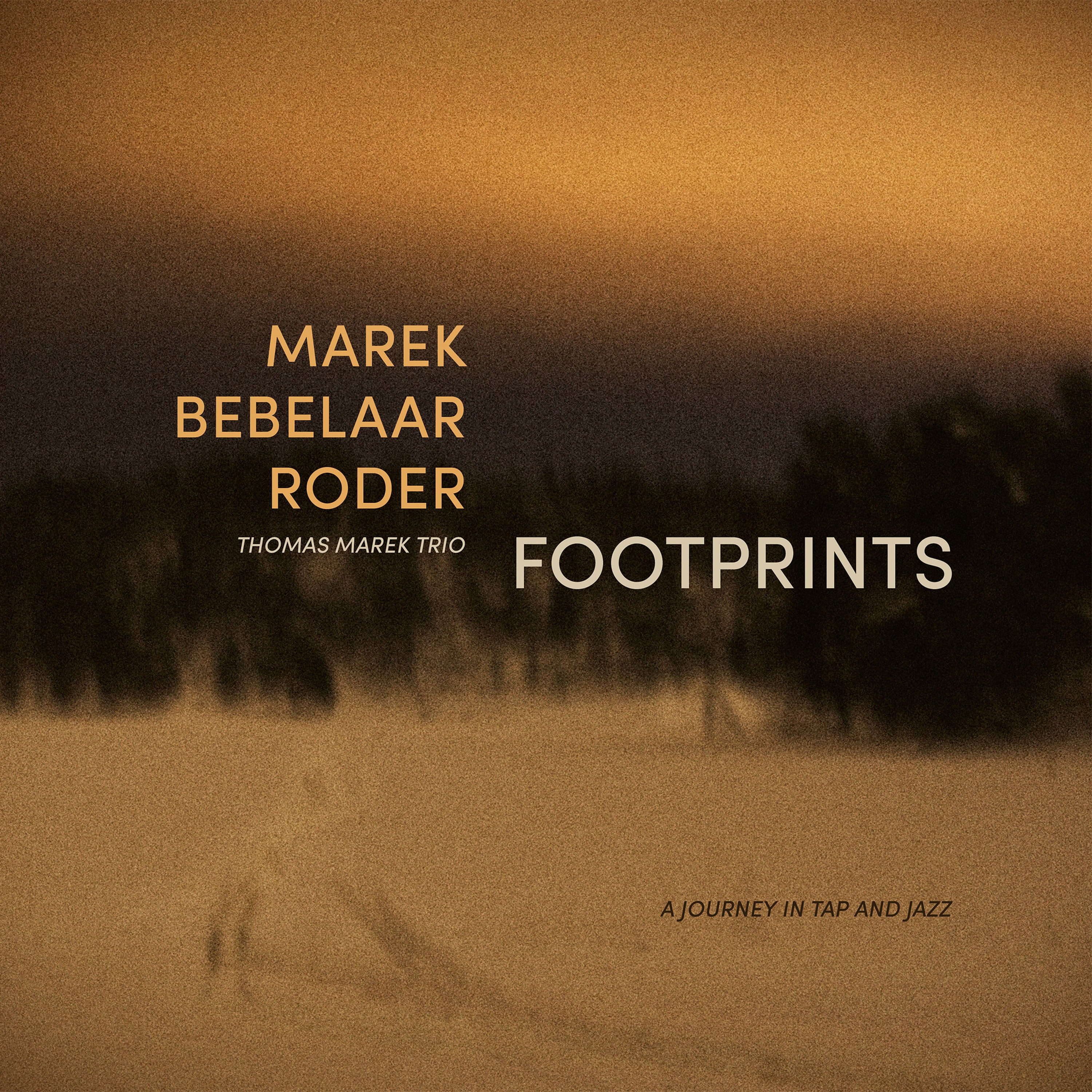 Thomas Marek Trio - Footprints (LP)