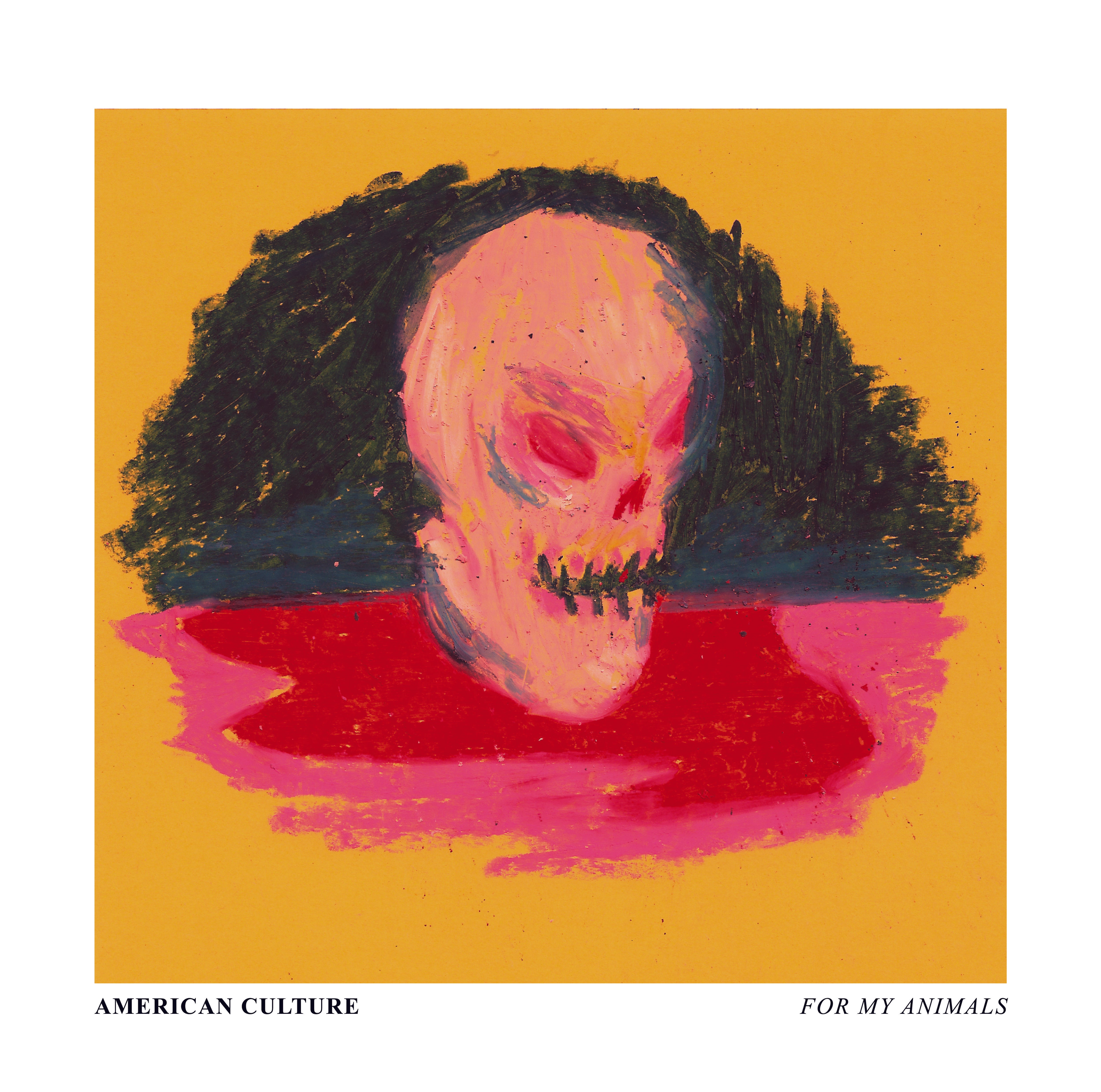 American Culture - For My Animals (LP)