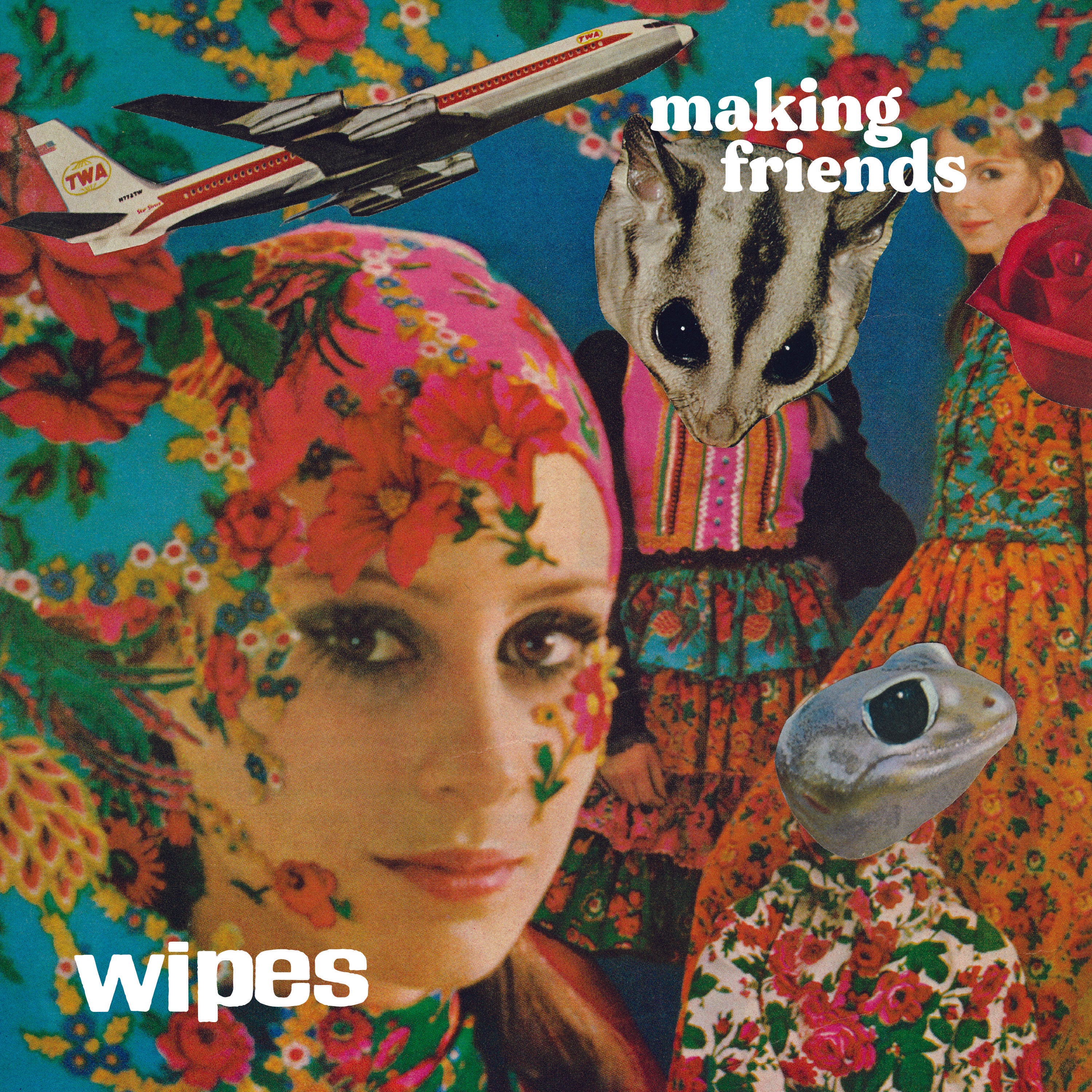 Wipes - Making Friends (LP)