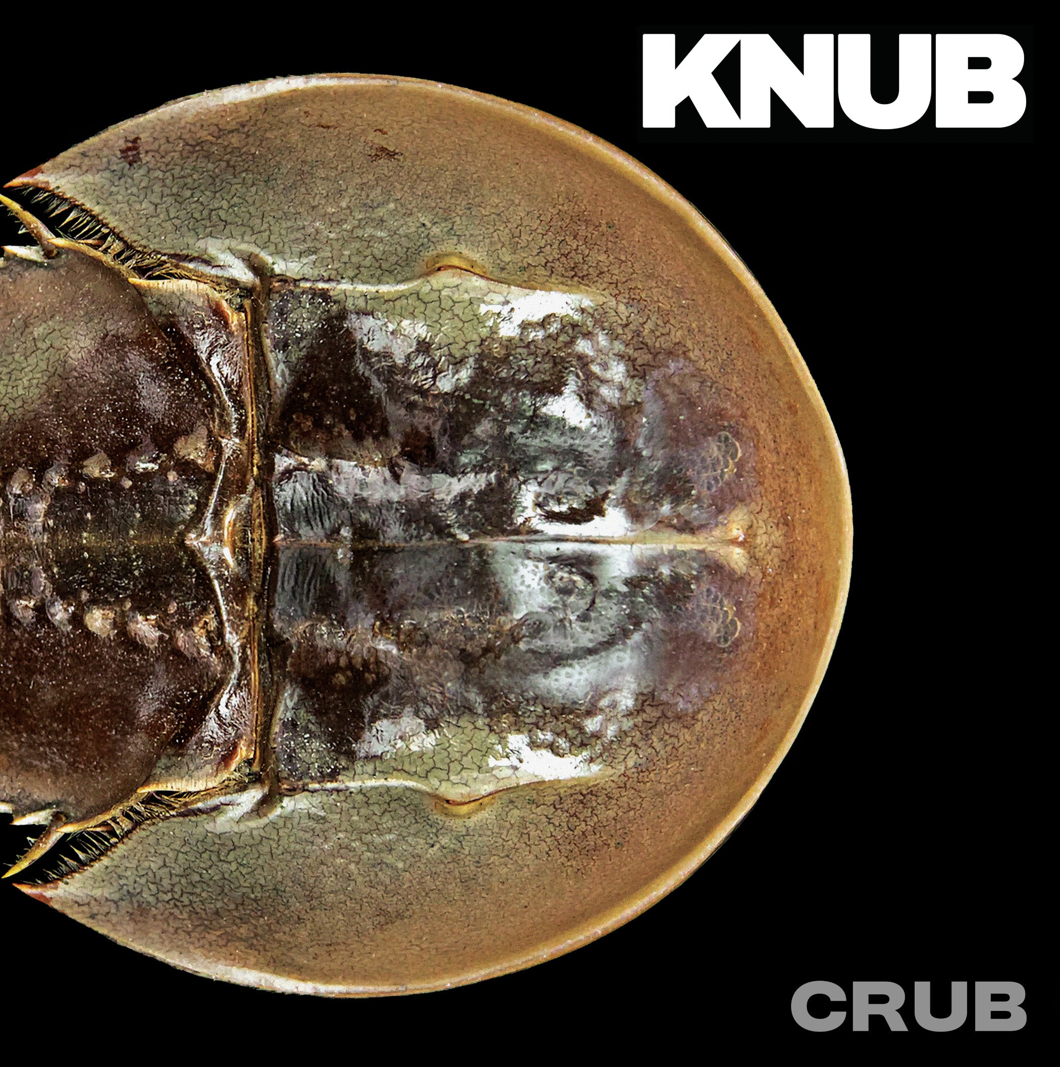 Knub - Crub (LP)