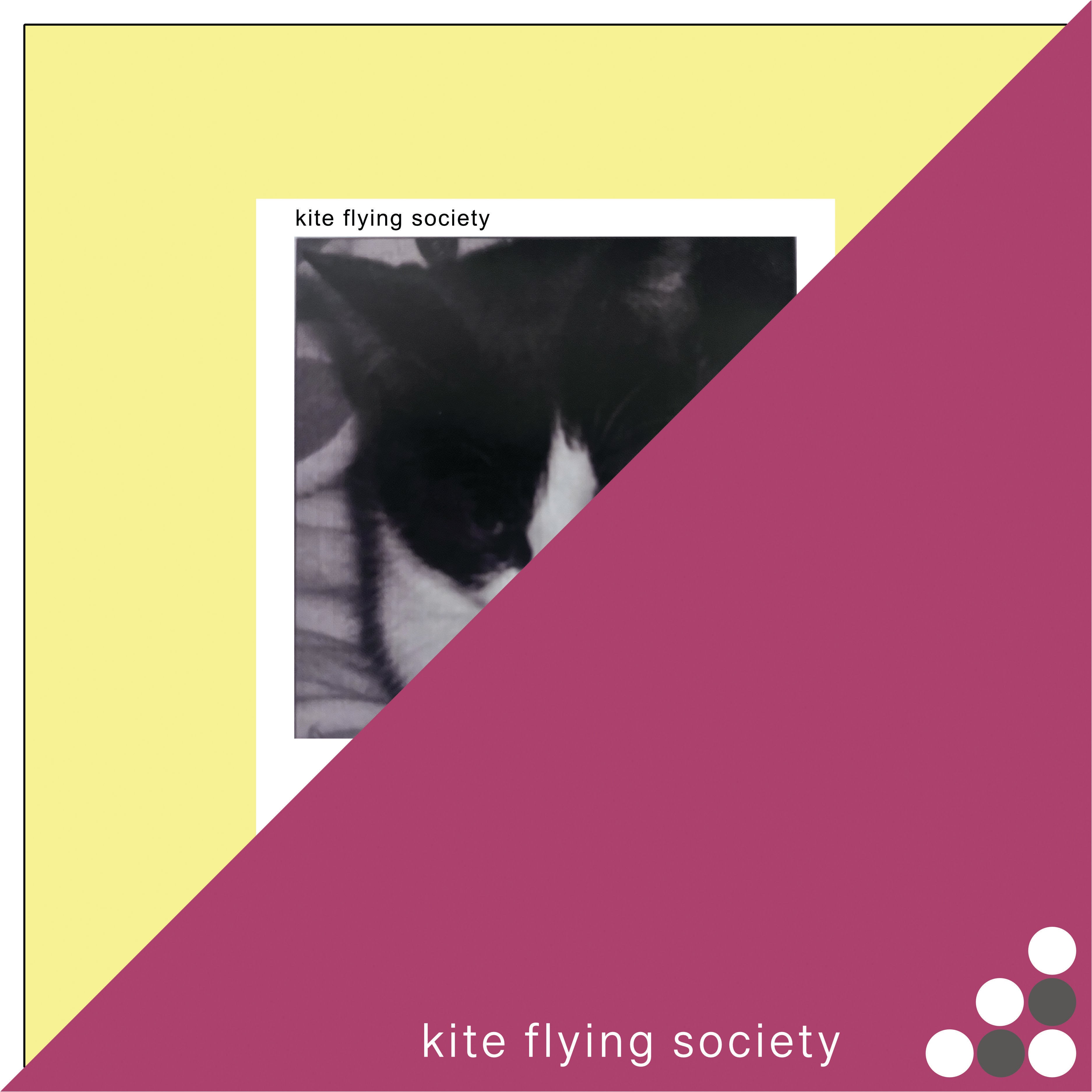 Kite Flying Society - Pink EP/Jochem EP [Limited Edition Clear Vinyl Indie Exclusive} (LP)
