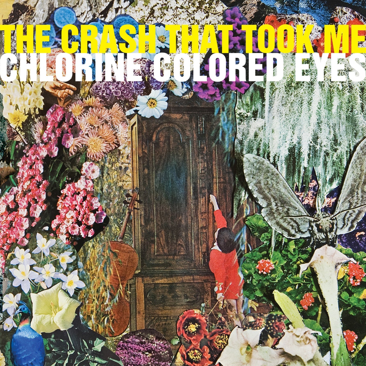 The Crash That Took Me - The Chlorine Colored Eyes (CD)