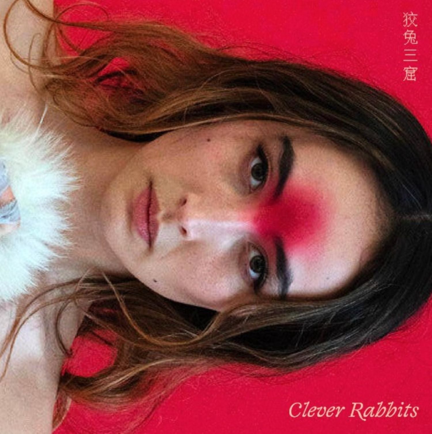 Ann Liu Cannon - Clever Rabbits (CD)