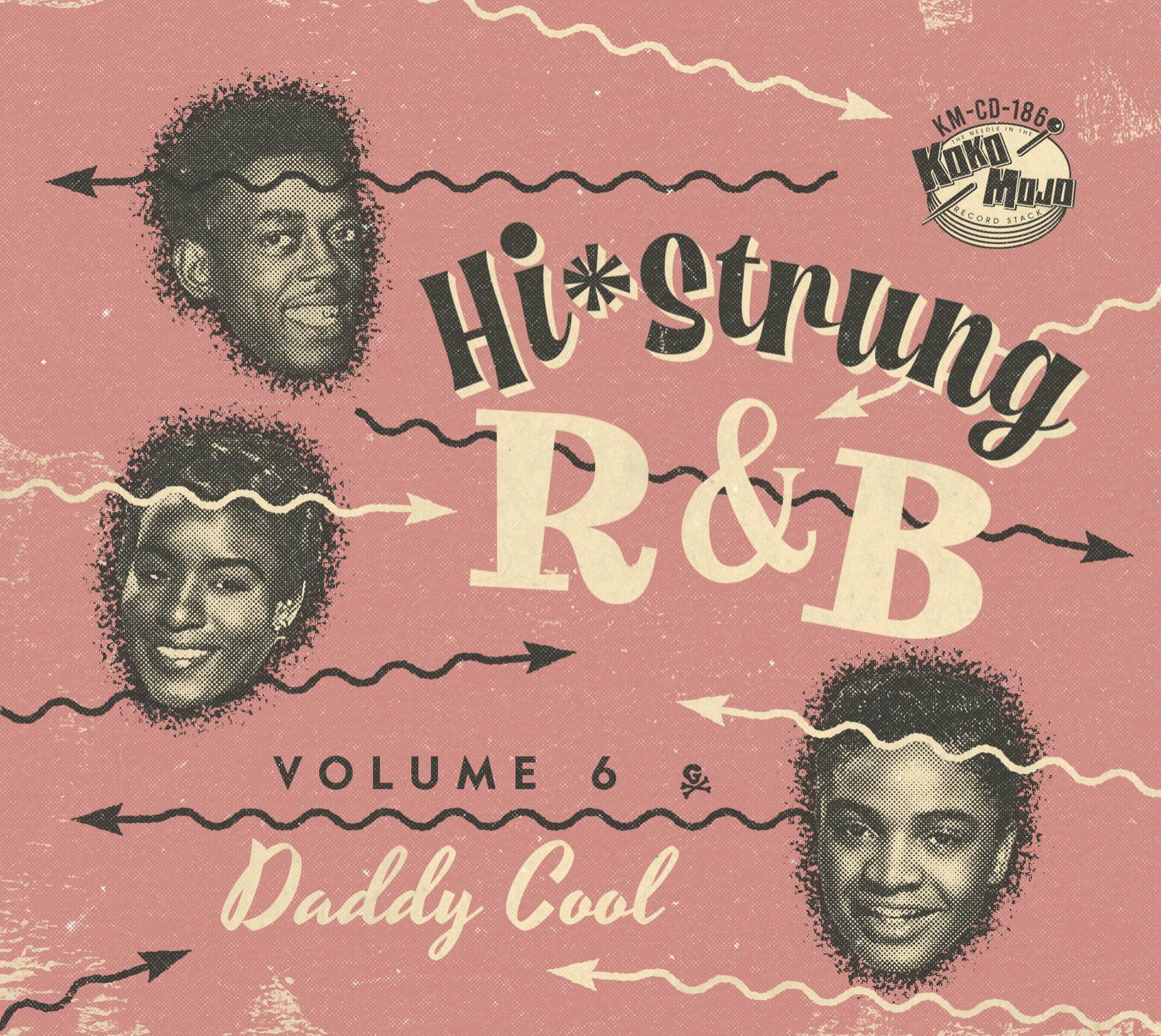 Hi Strung R&B 6: Daddy Cool (CD)