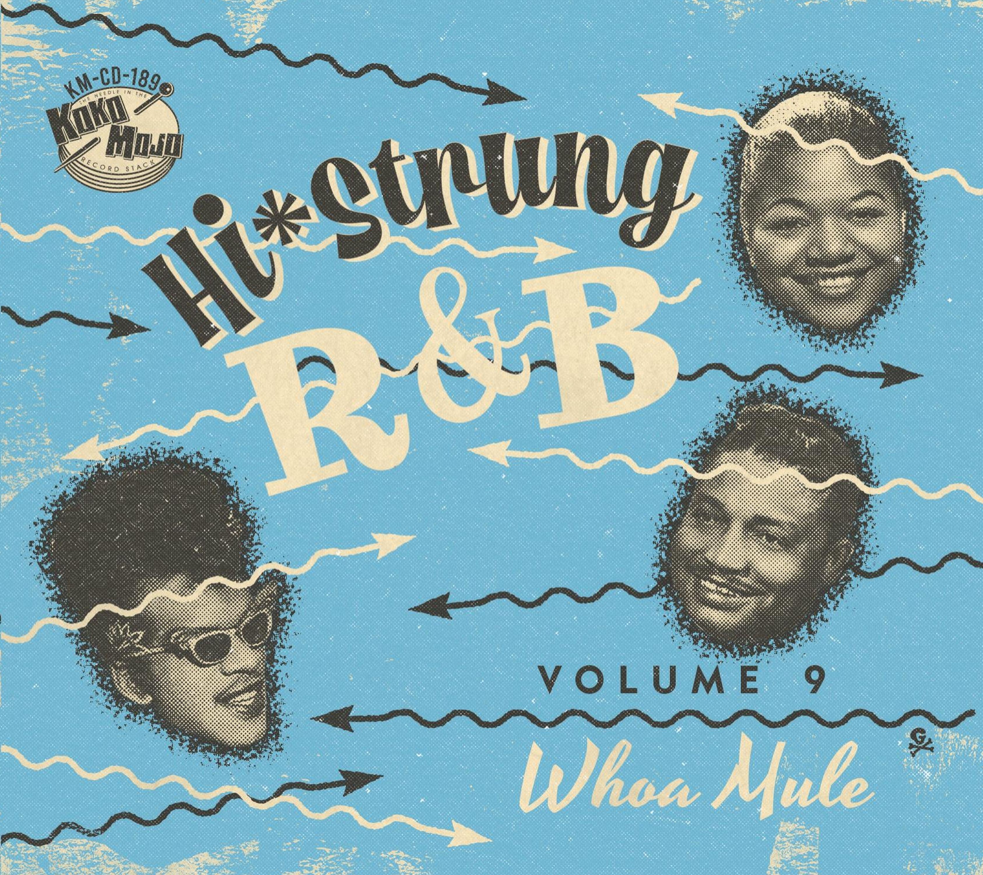 Hi Strung R&B 9: Whoa Mule (CD)