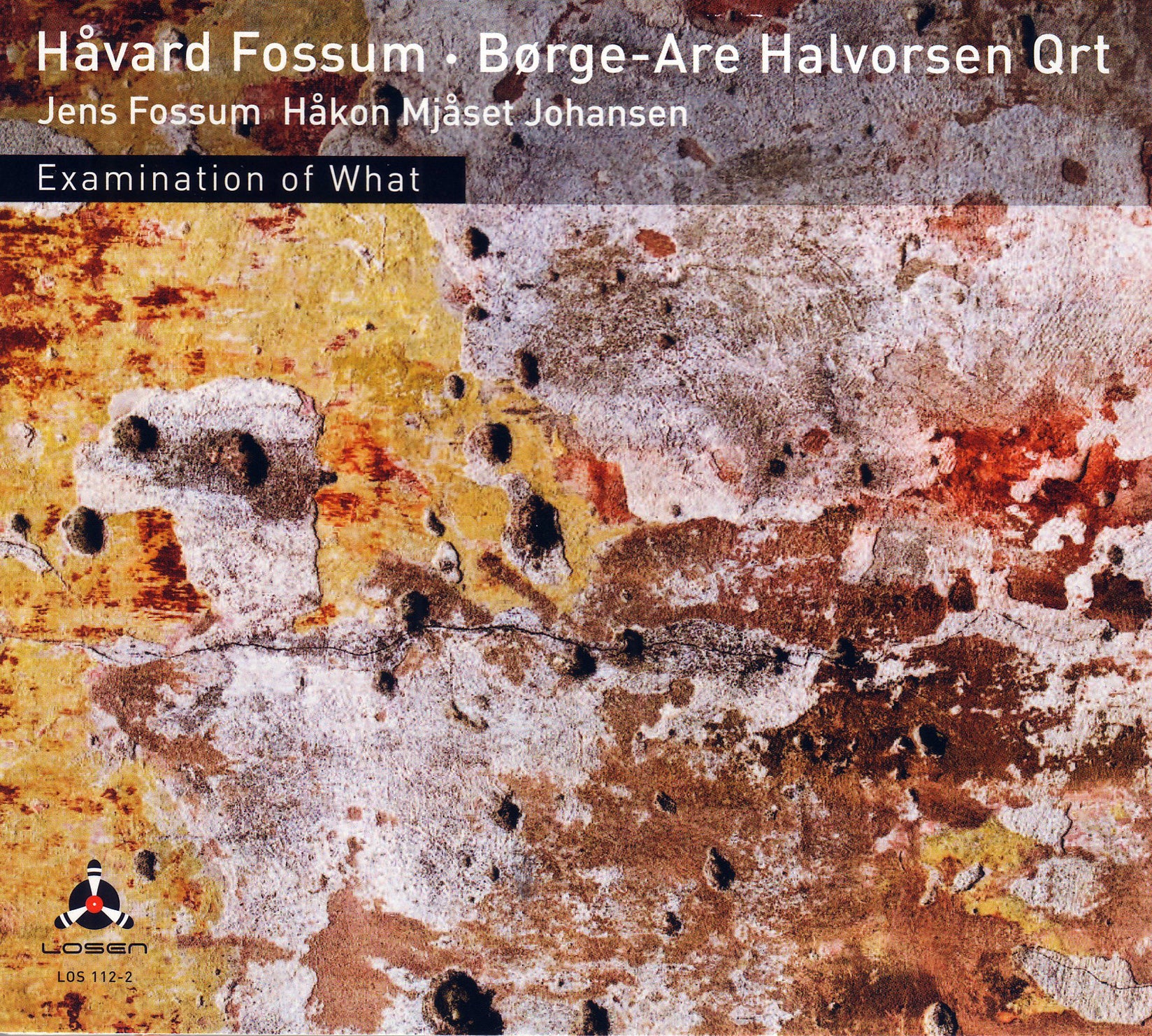 Fossum, Havard - Examination Of What (CD)