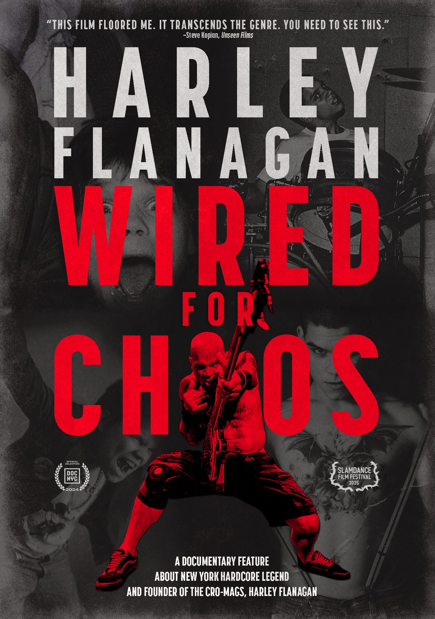 Harley Flanagan: Wired For Chaos (Blu-Ray/DVD)