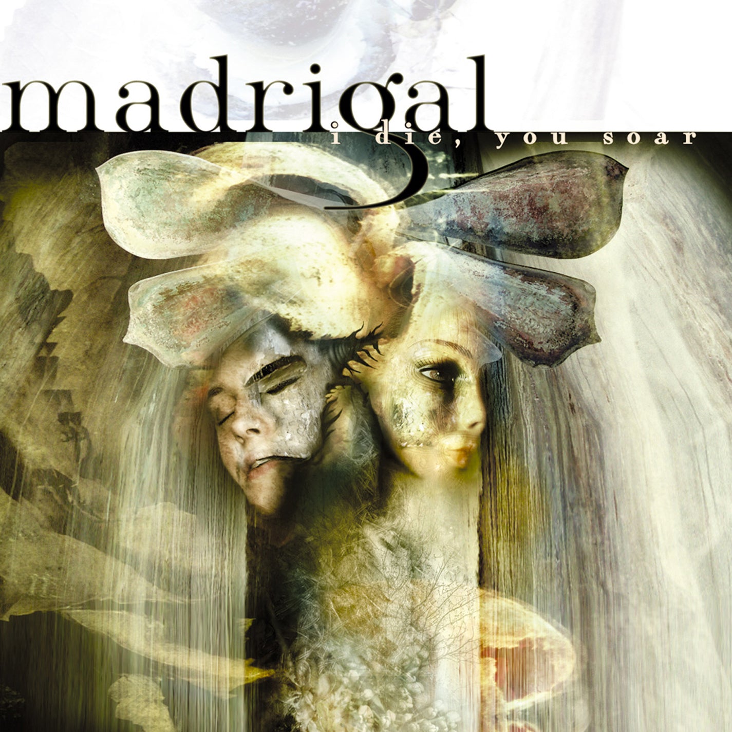Madrigal - I Die, You Soar! (CD)