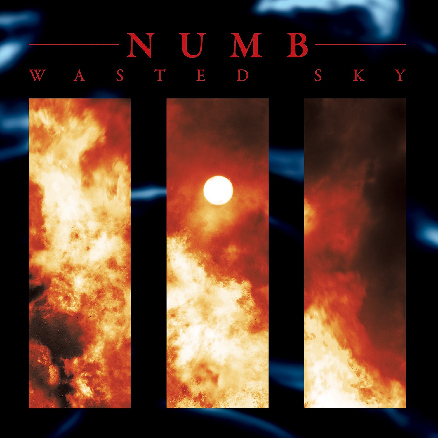Numb - Wasted Sky Limited Edition Vinyl (LP)