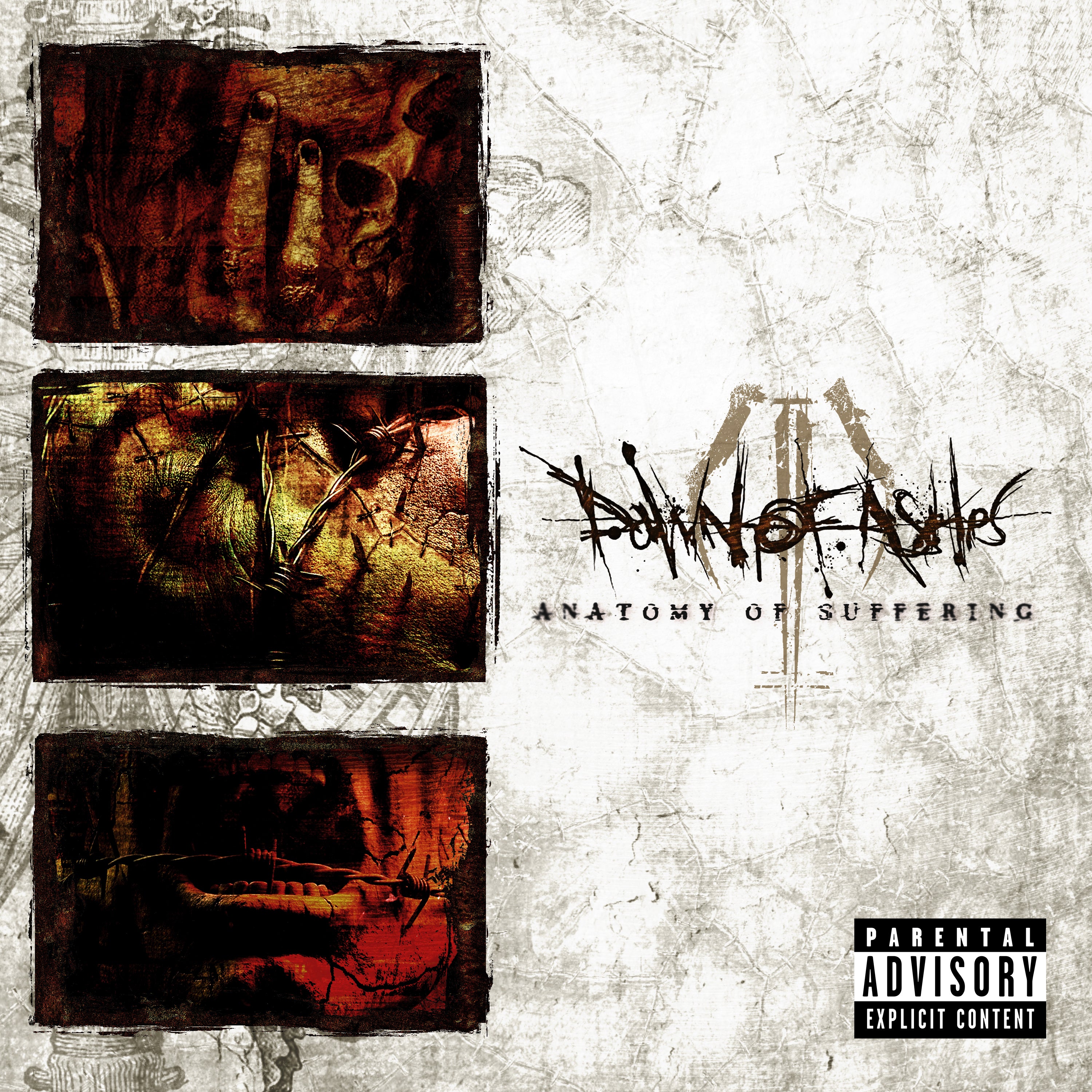 Dawn Of Ashes - Anatomy Of Suffering (CD)