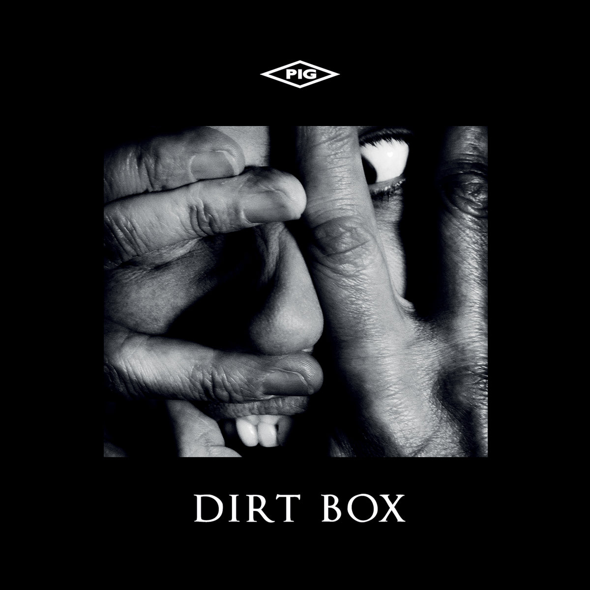 PIG - Dirt Box EP (CD)