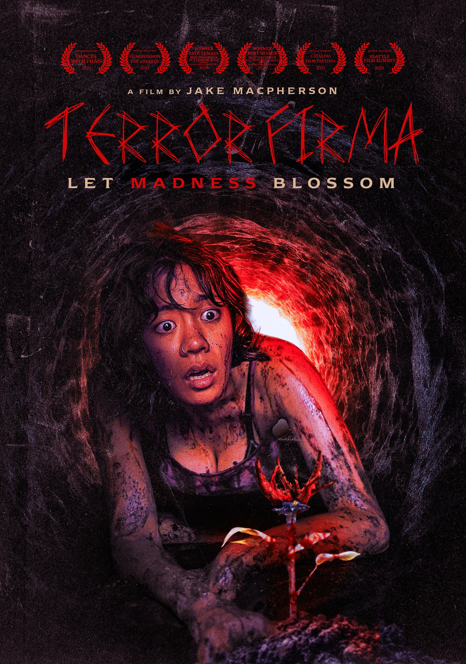 Terror Firma (DVD)