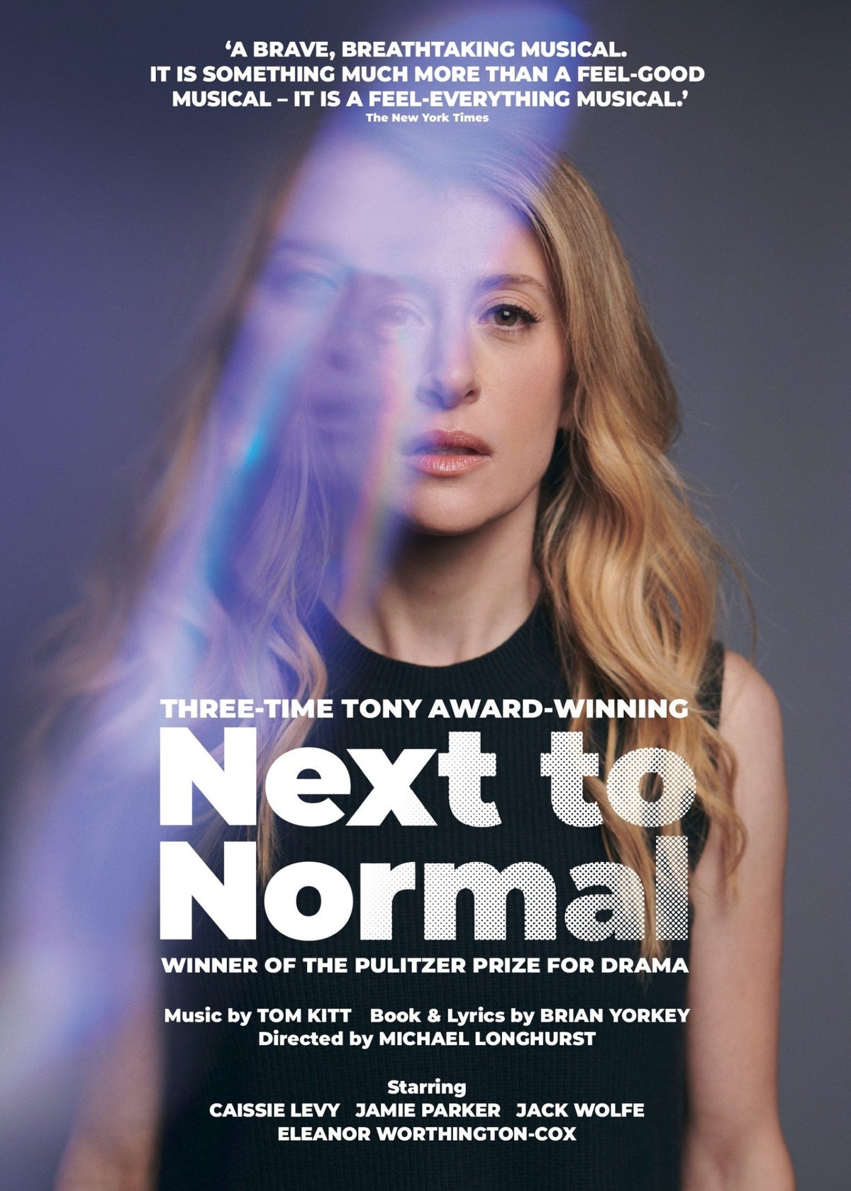 Next To Normal (DVD)