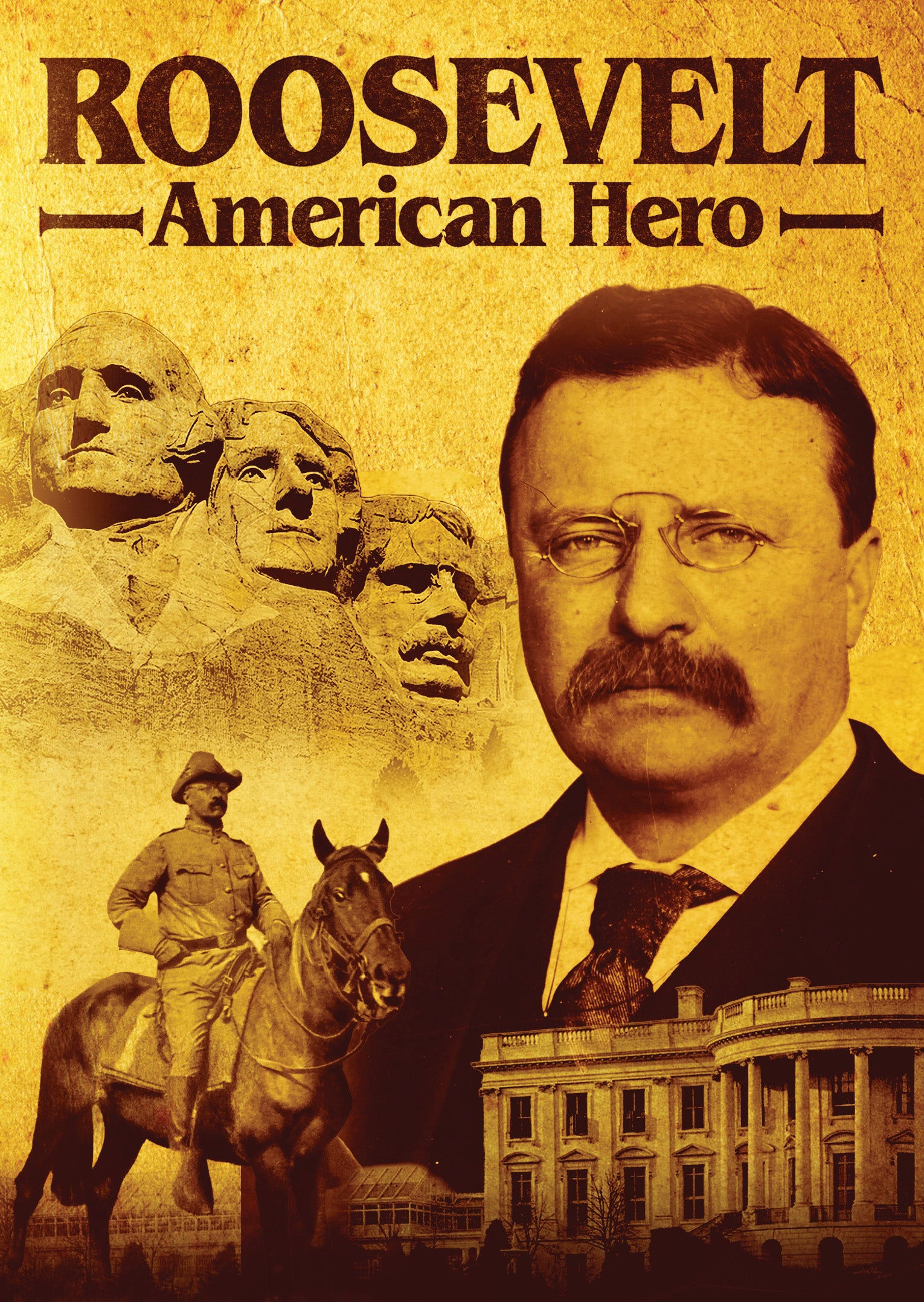 Roosevelt: American Hero (DVD)