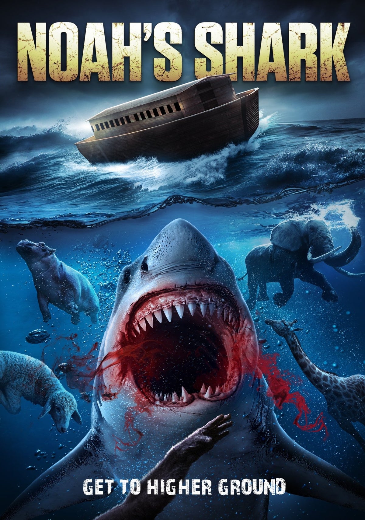 Noah's Shark (DVD)