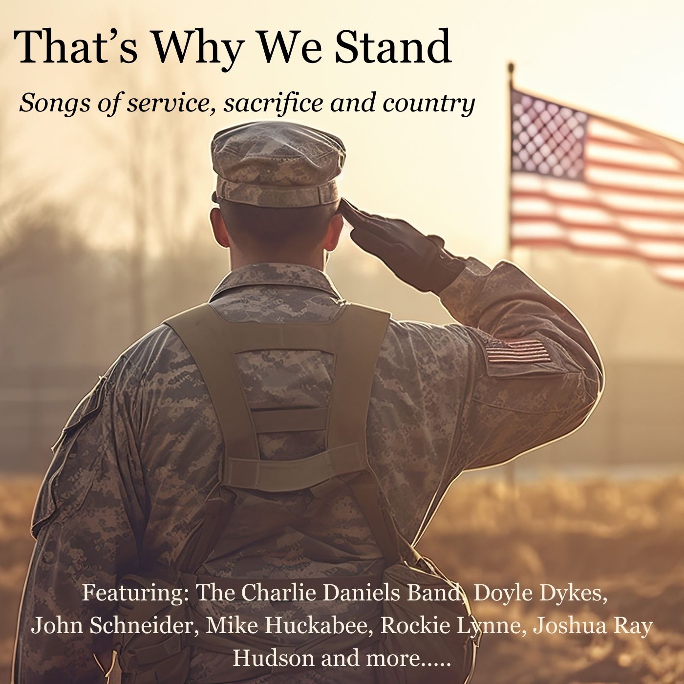 That's Why We Stand (LP)
