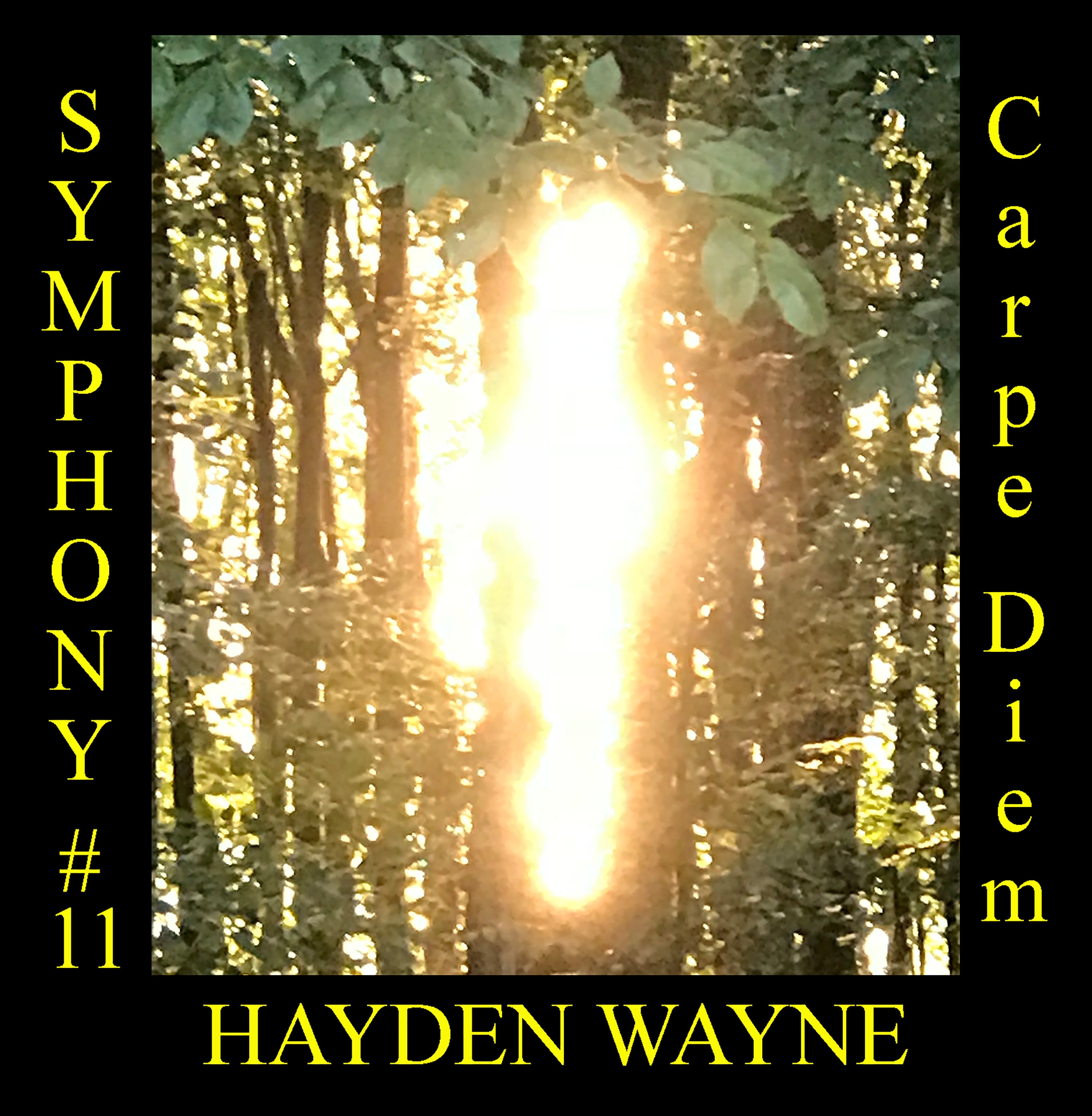 Hayden Wayne - Symphony #11: Carpe Diem (CD)