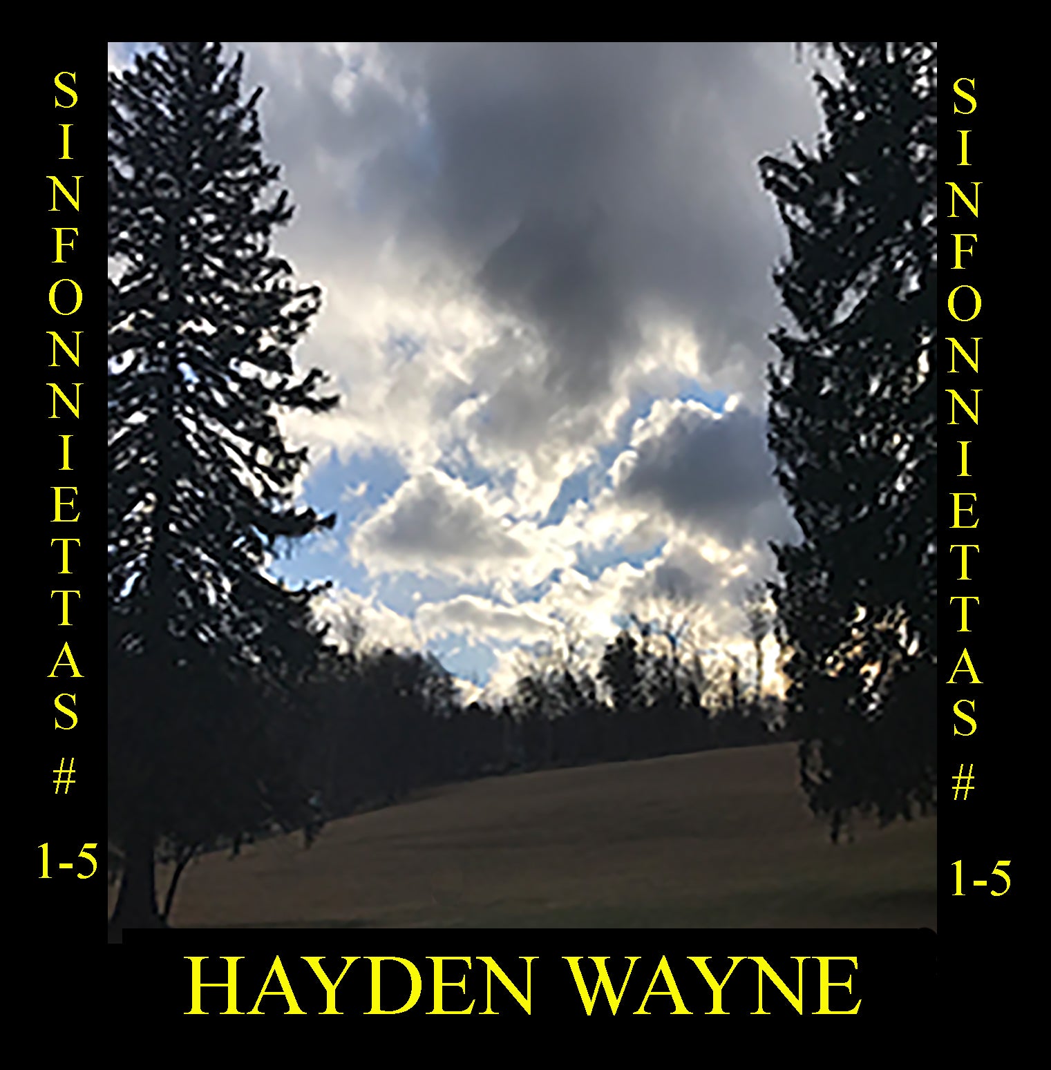 Hayden Wayne - Sinfoniettas # 1-5 (CD)
