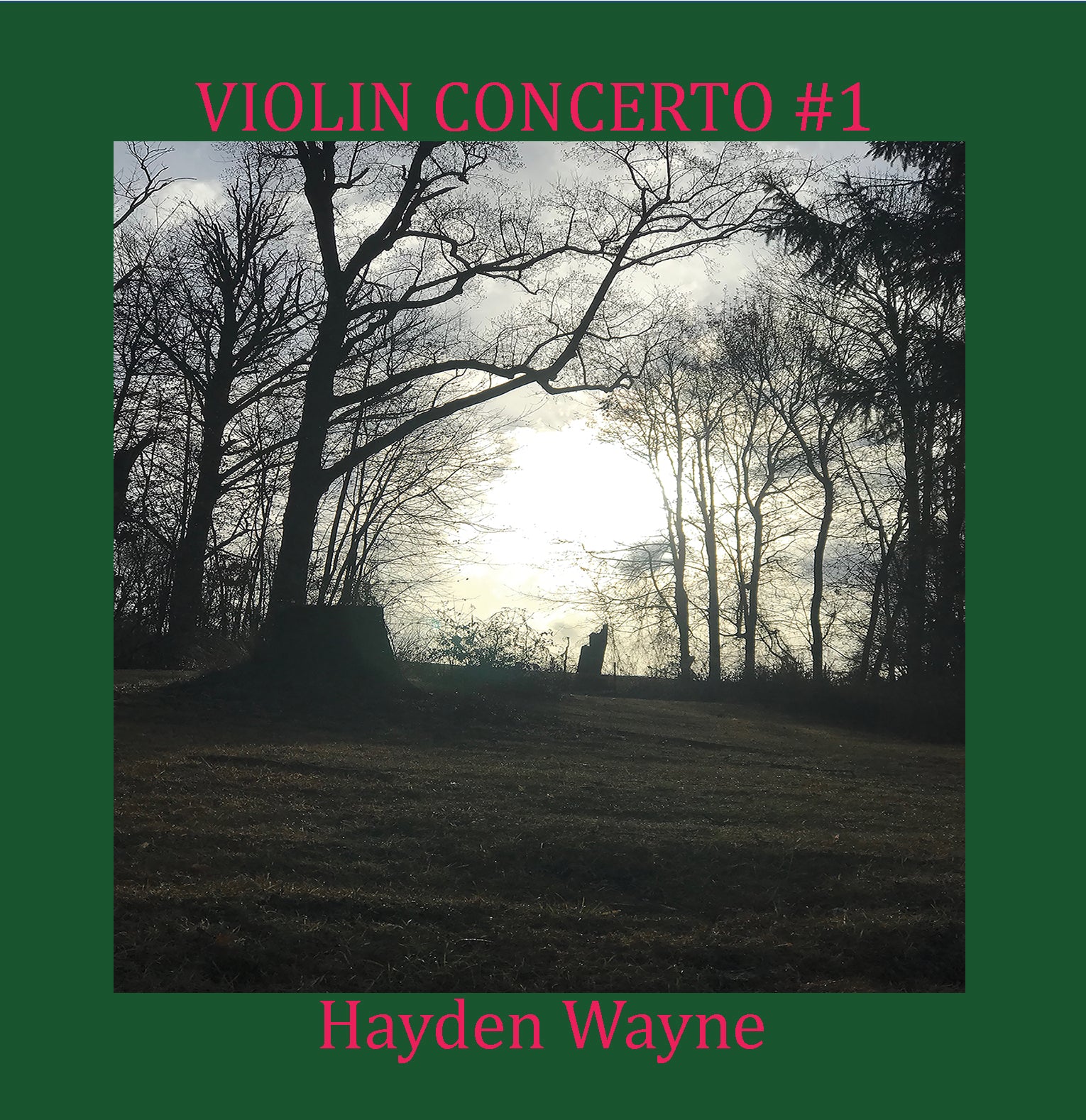 Hayden Wayne - Violin Concerto #1 (CD)