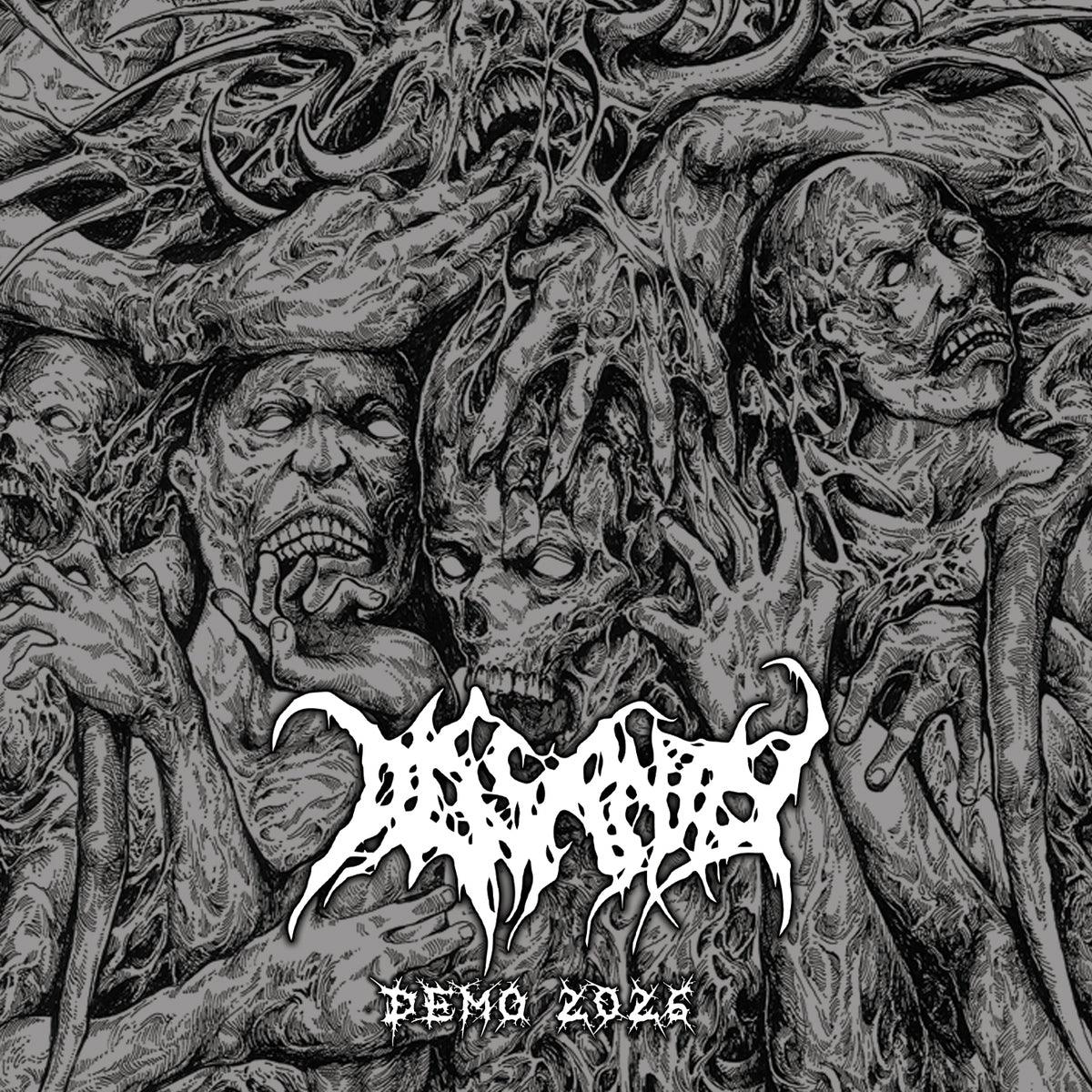 Dissanity - Demo 2026 (CD)