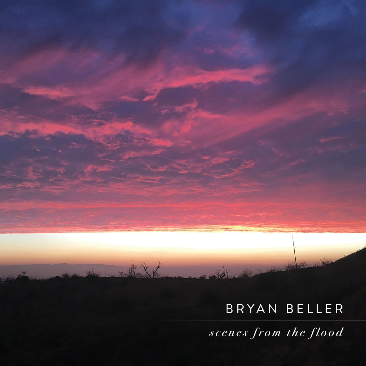 Bryan Beller - Scenes From The Flood (LP)