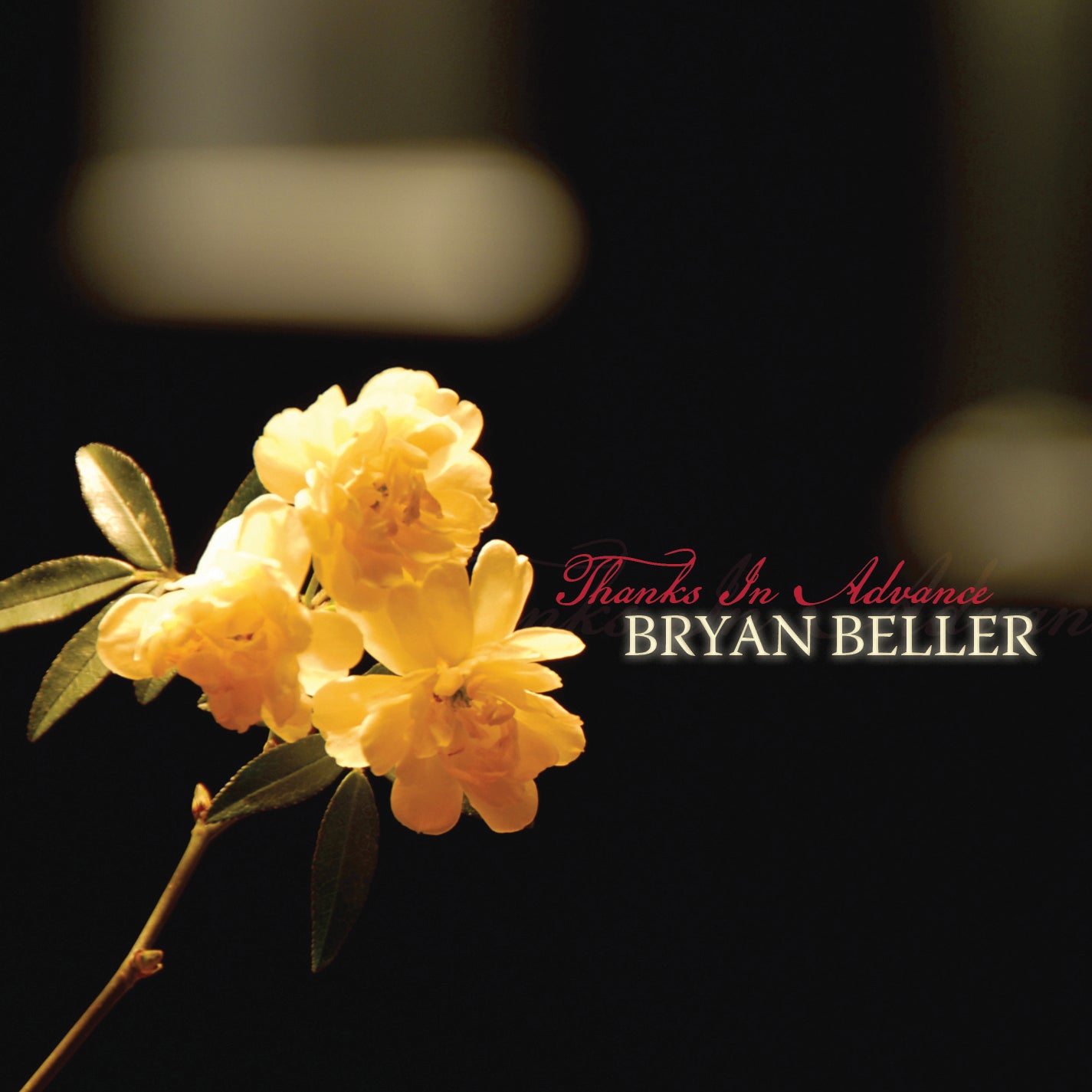 Bryan Beller - Thanks In Advance (CD)